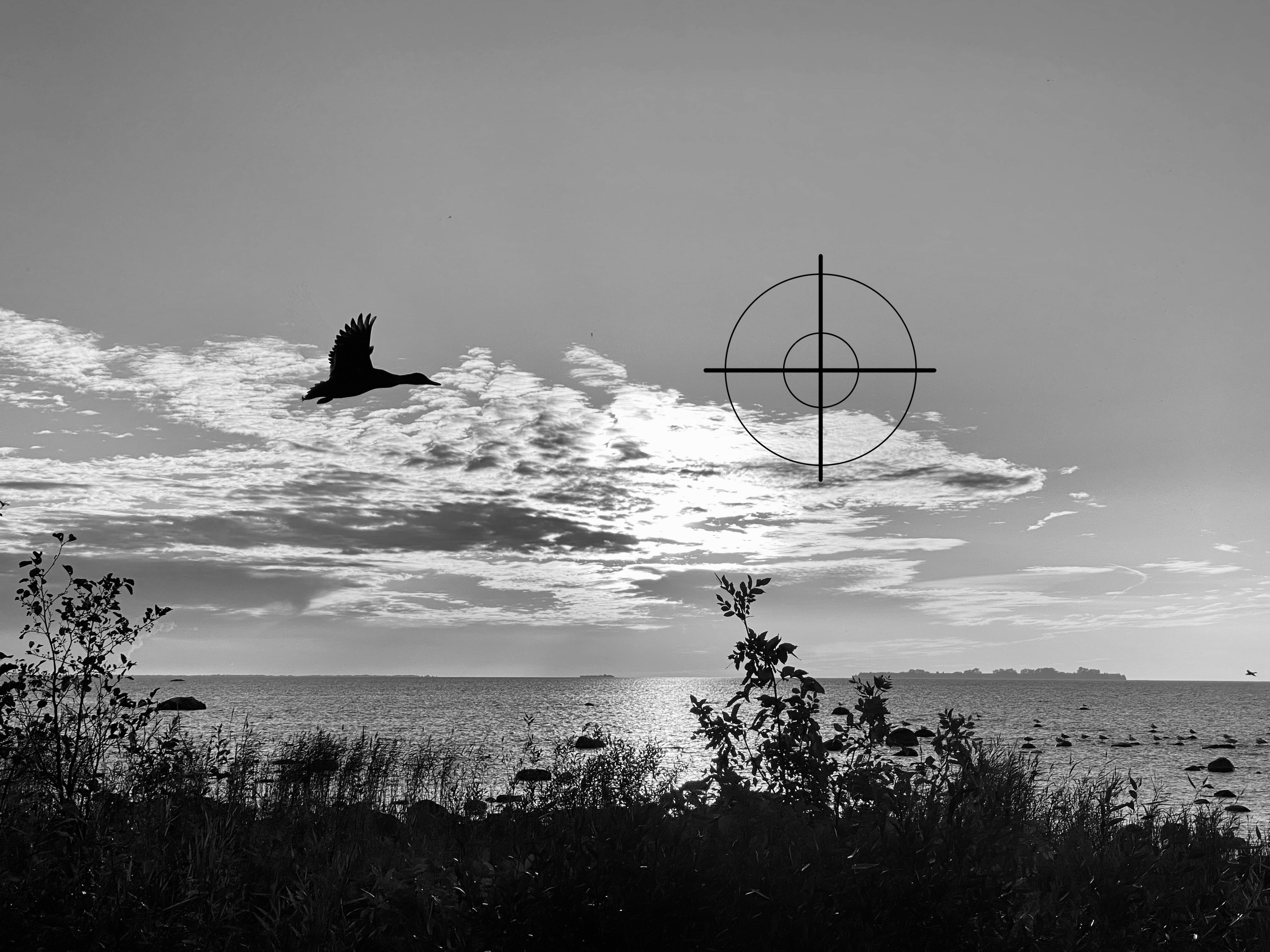 Испорченные фотографии — авторская серия Ма. Ма