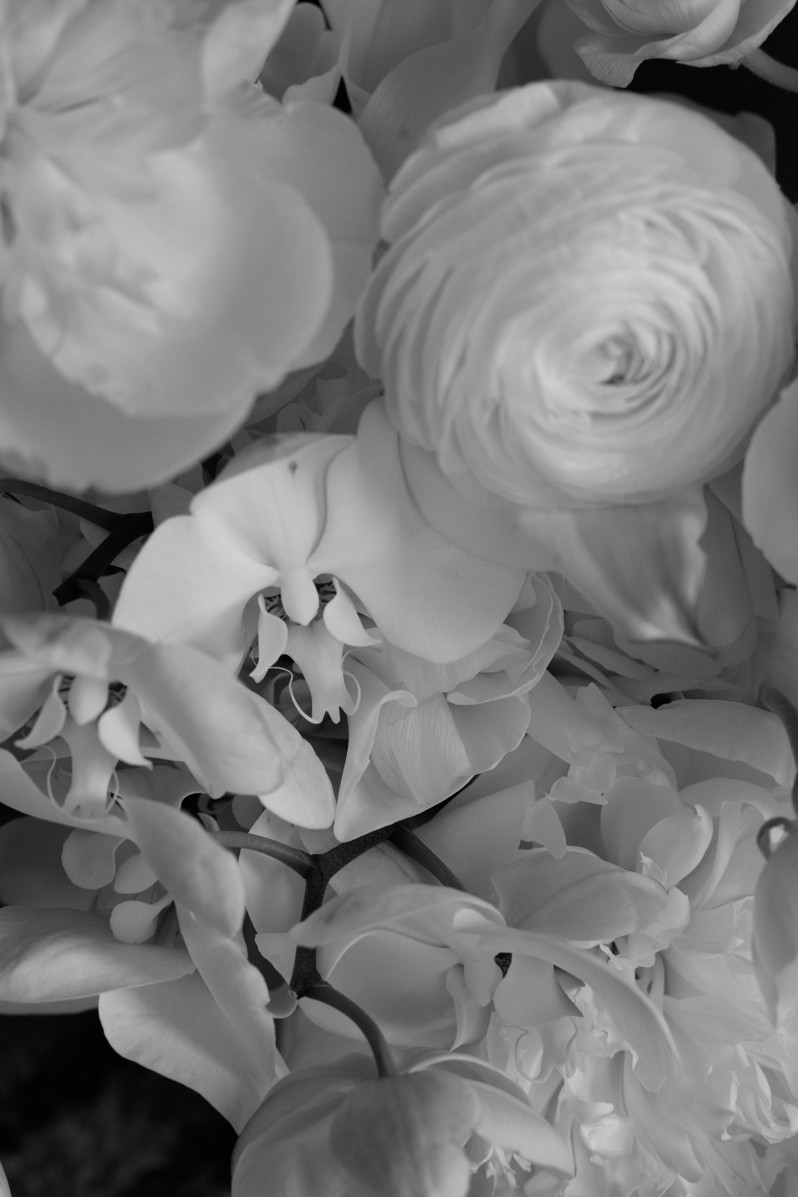 Лев&Кристина. Свадебный фотограф Владислав Адышкин