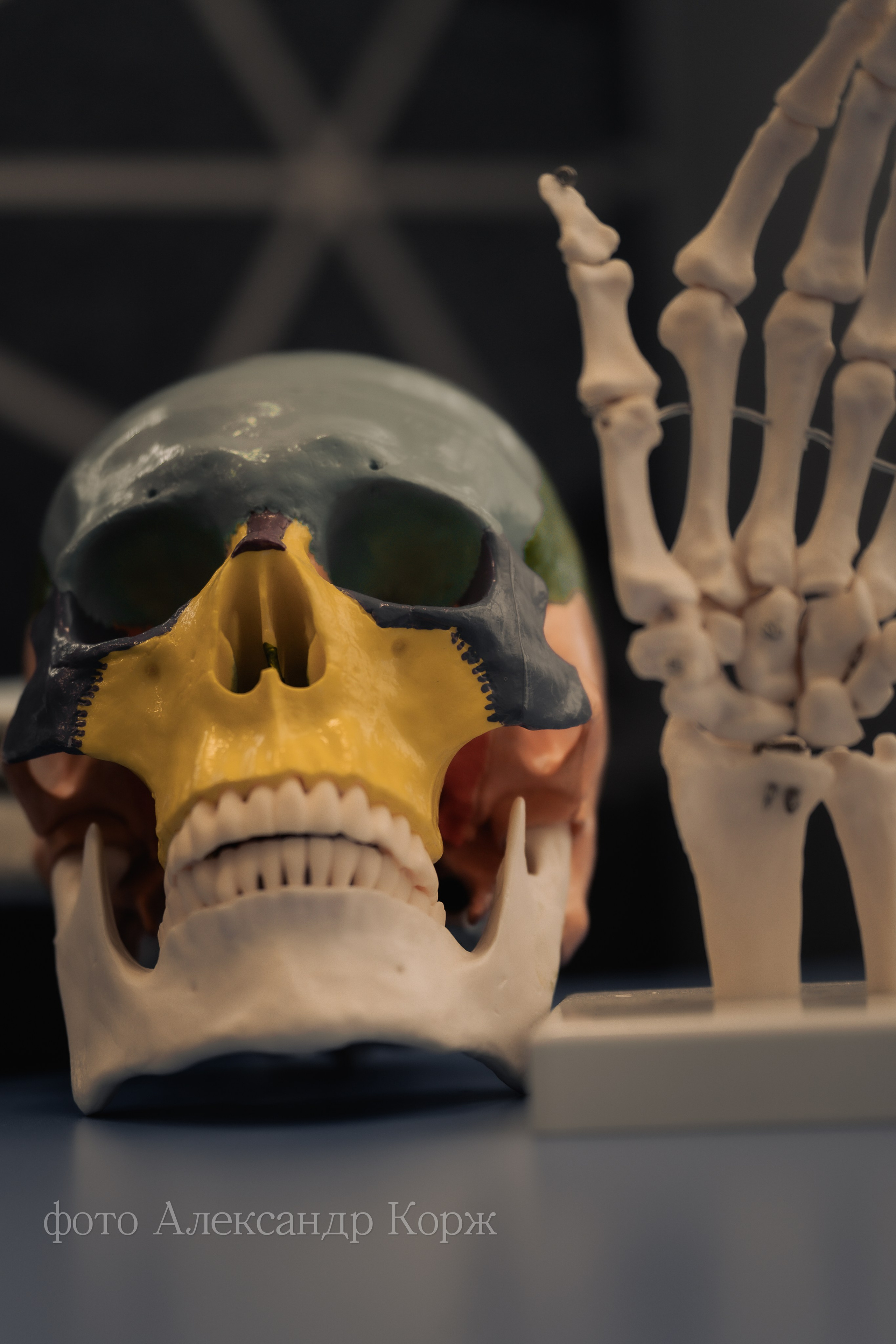 АЙХАЛ ЭКСПО-2025. Фотографии и видеосъемка, Айхал, Удачный, Якутия. Фотографии Айхал