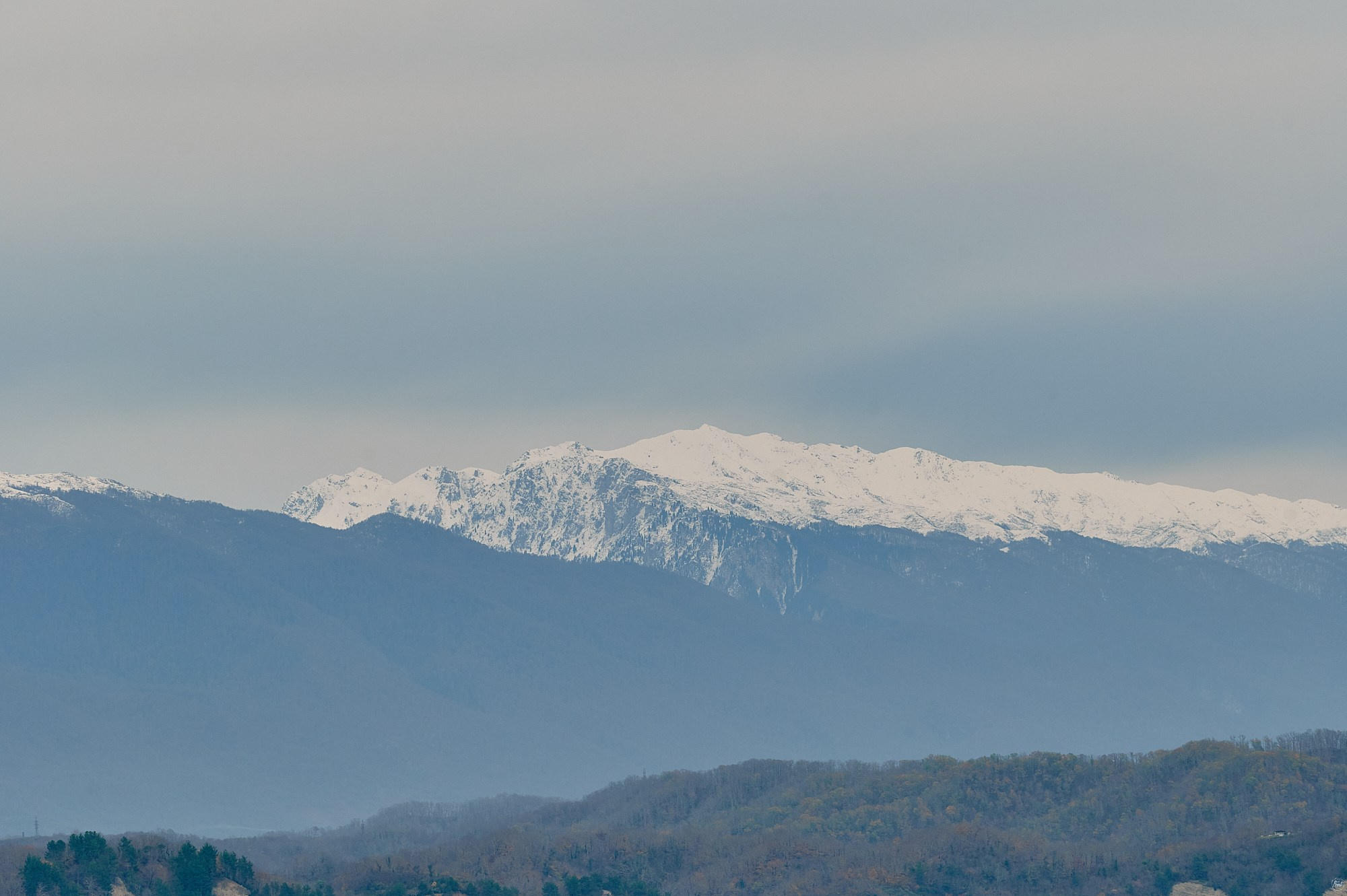 Пицунда, Абхазия. Декабрь 2024. Фотографии отовсюду и обо всем