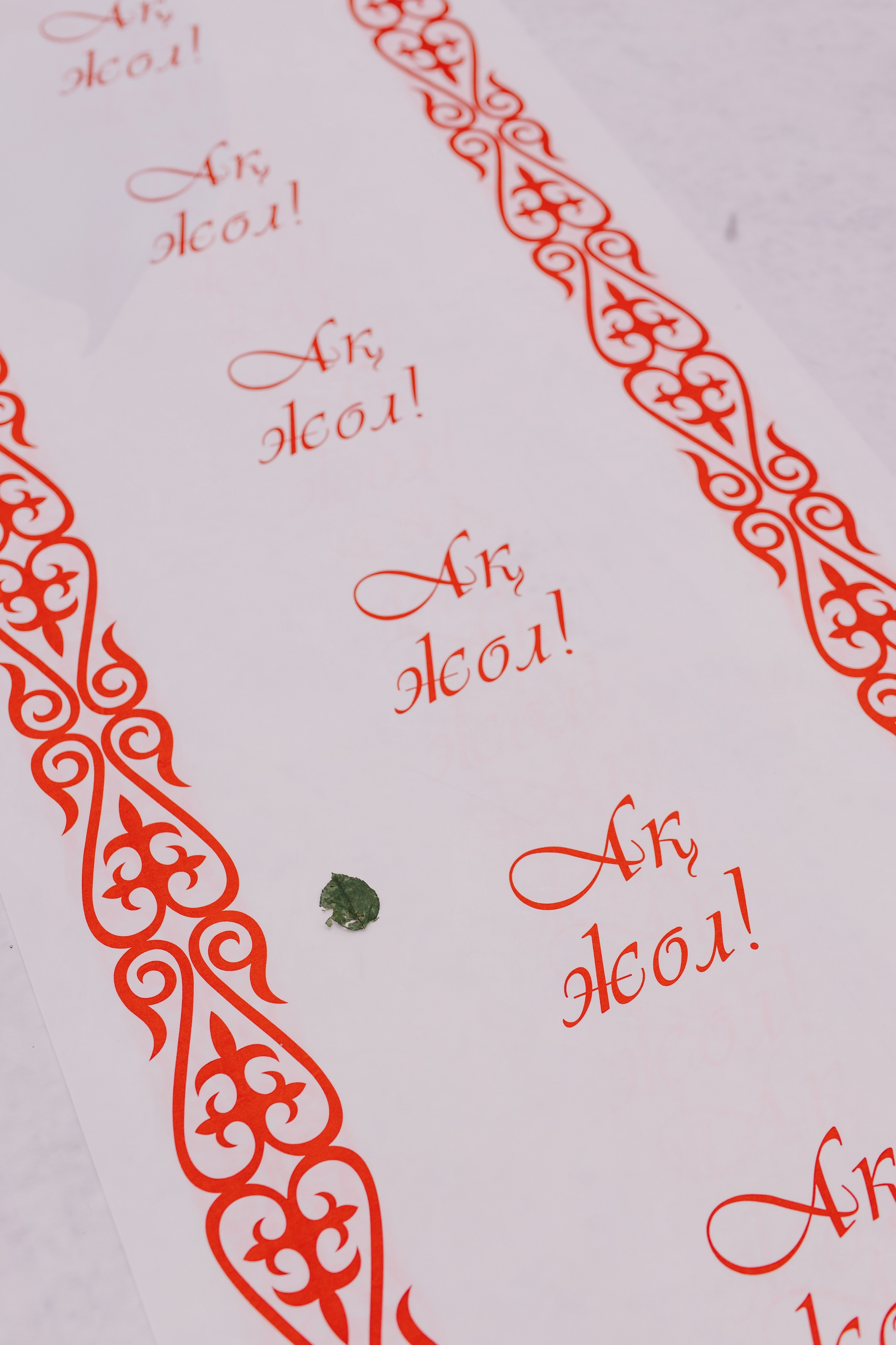 Madina — Qyz uzatu. Wedding and Love story Photographer