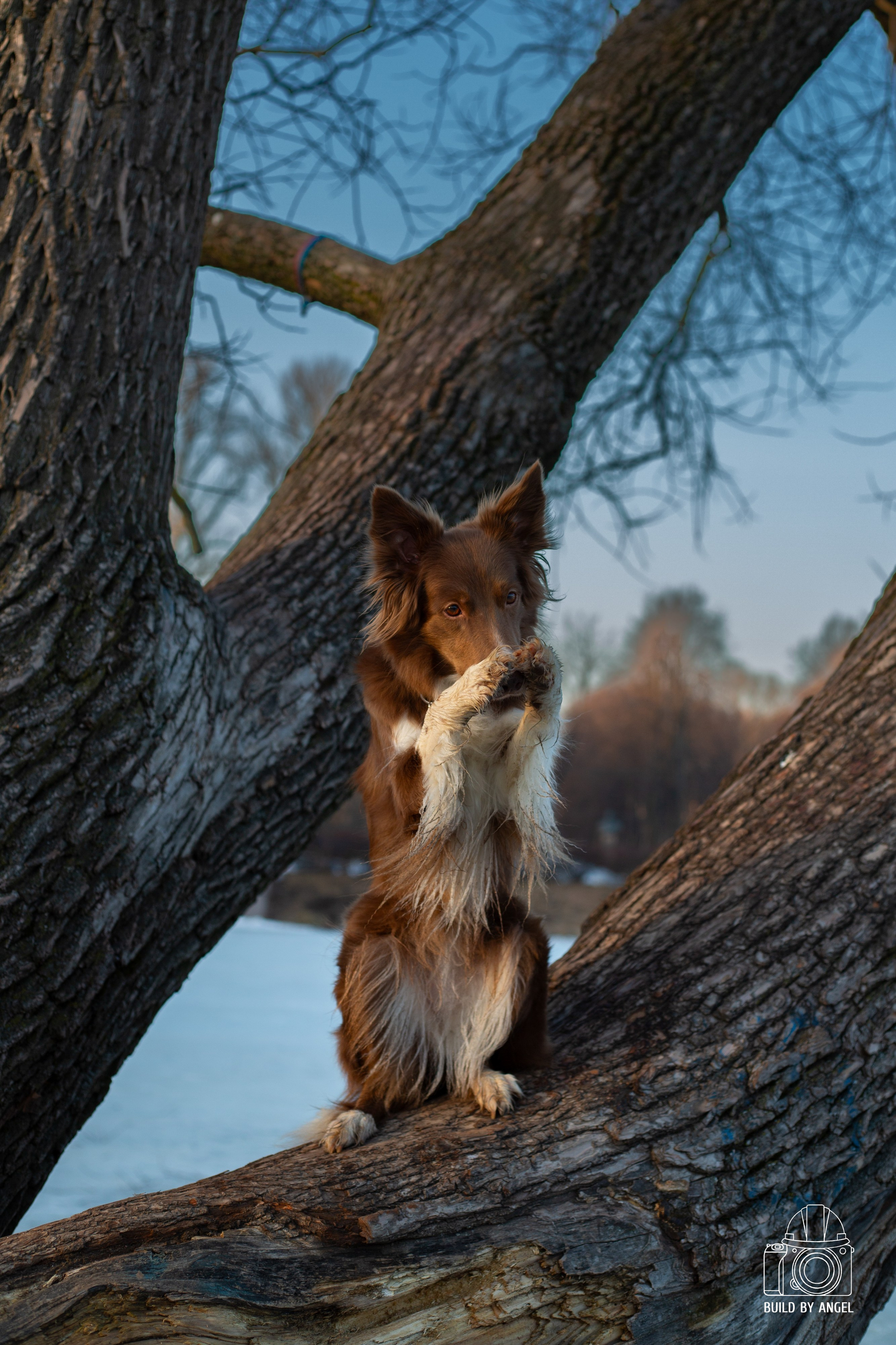 Хорошо гулять со мной. Ангелина Тамилина — репортажный фотограф в Санкт-Петербурге
