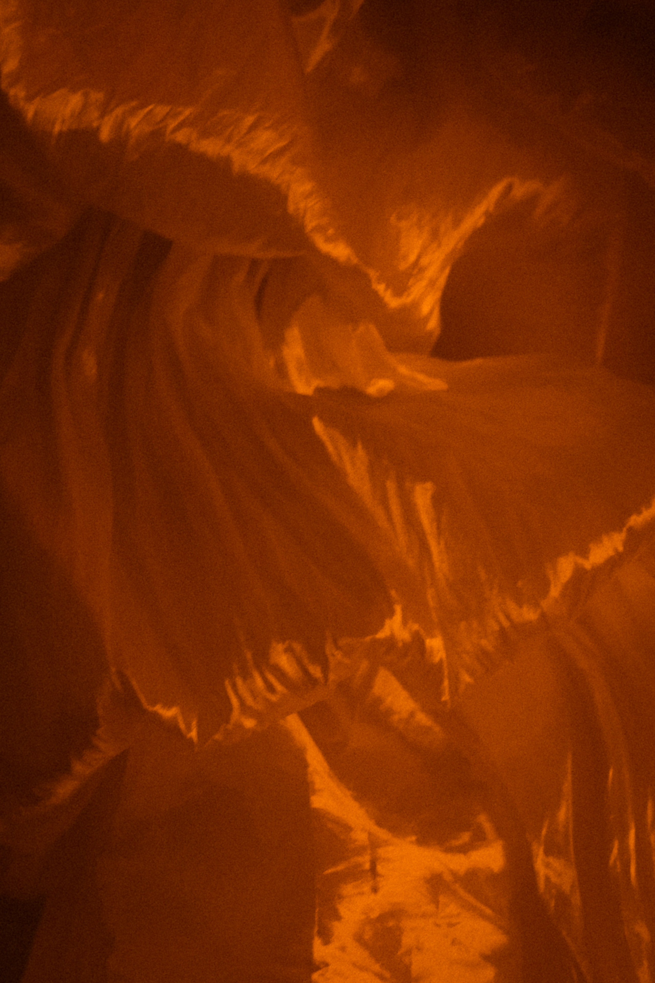 EVENT. Свадебный фотограф Капаева Виктория