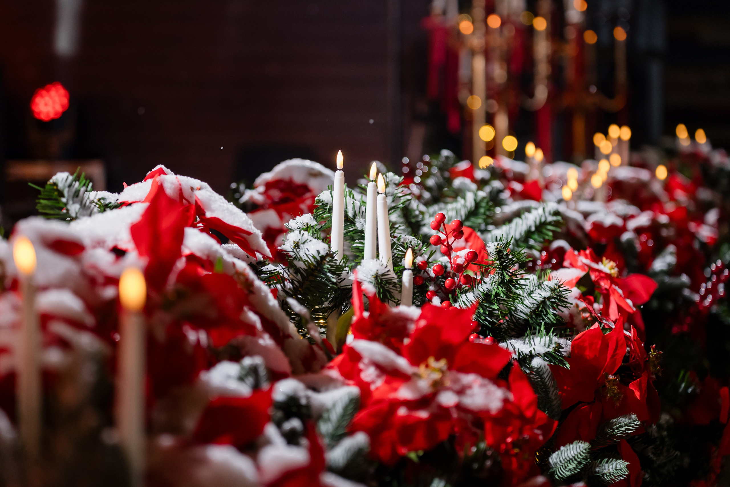 Ледяная симфония. Сад им. Баумана. 04.01.2025