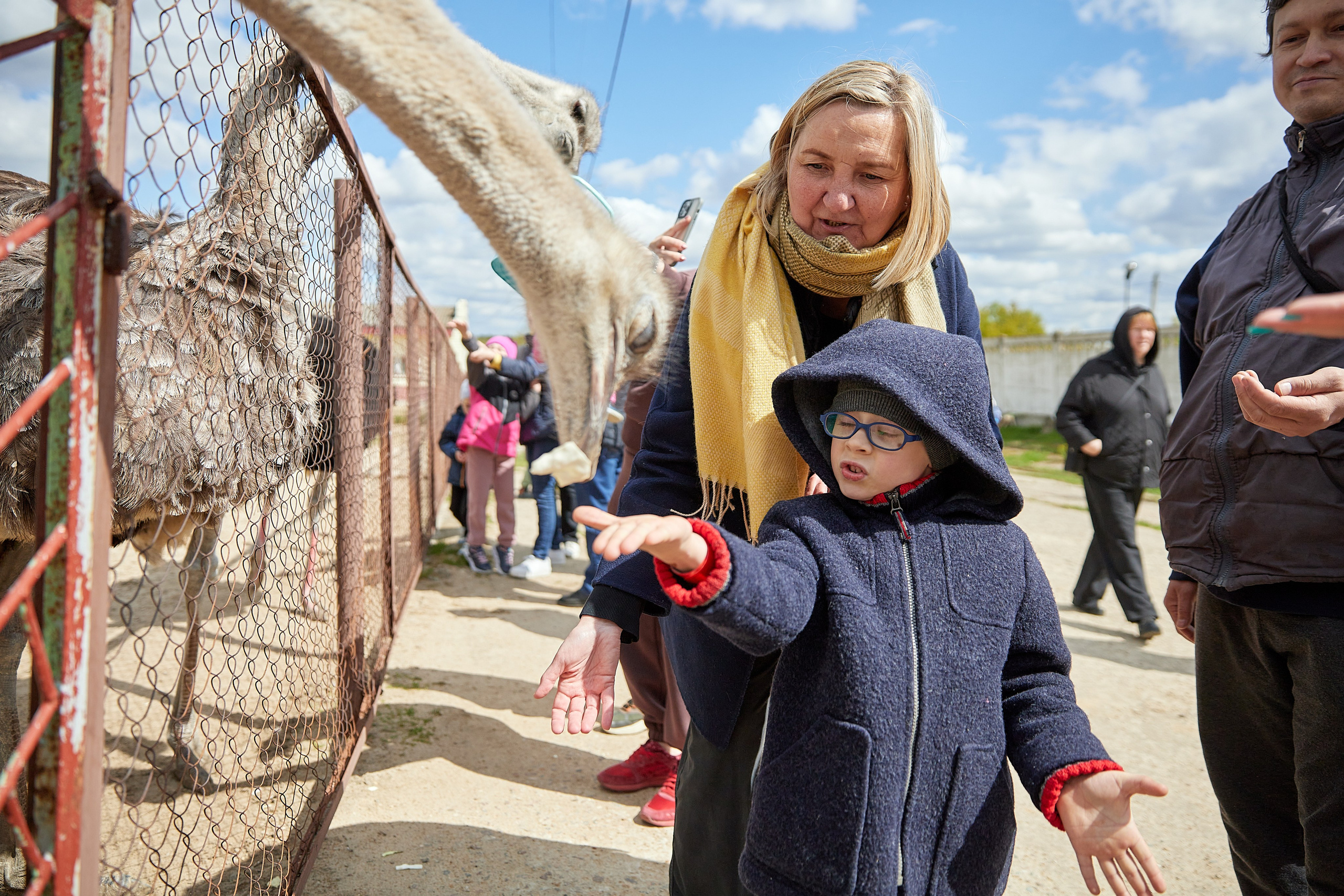 На ферме. Главная