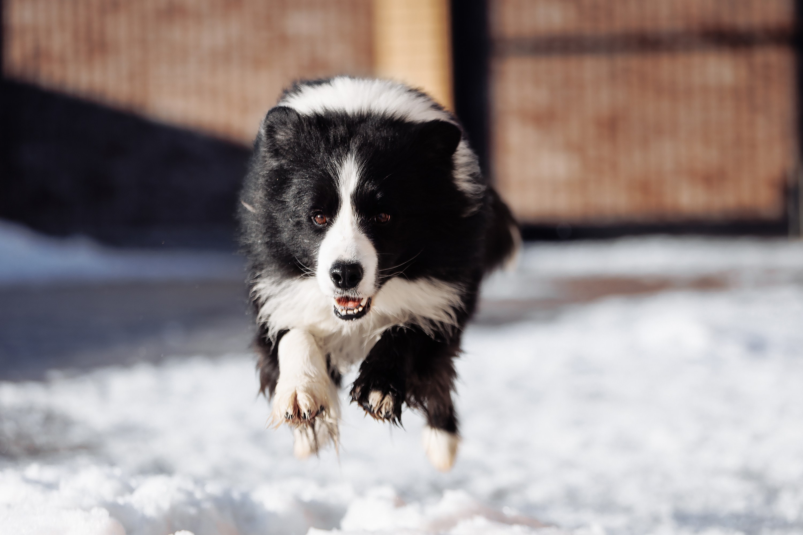 Пока таяло. О нас