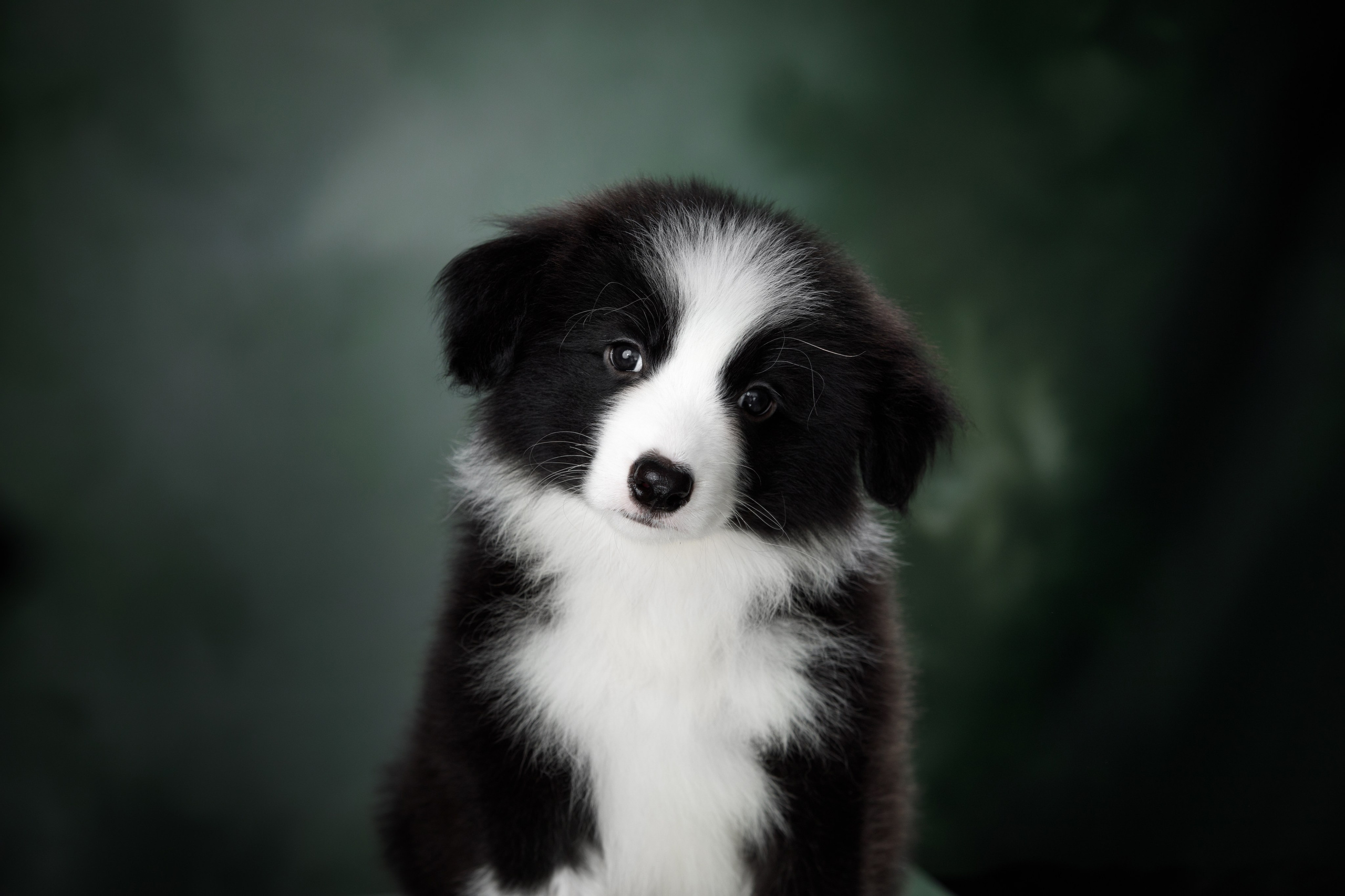 Март. Весна. 22. О нас