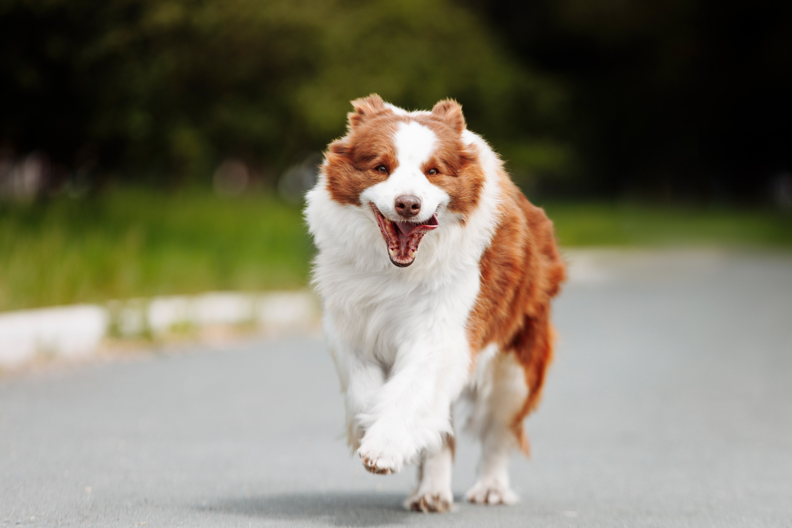 Такой разношерстный Орск 25. О нас