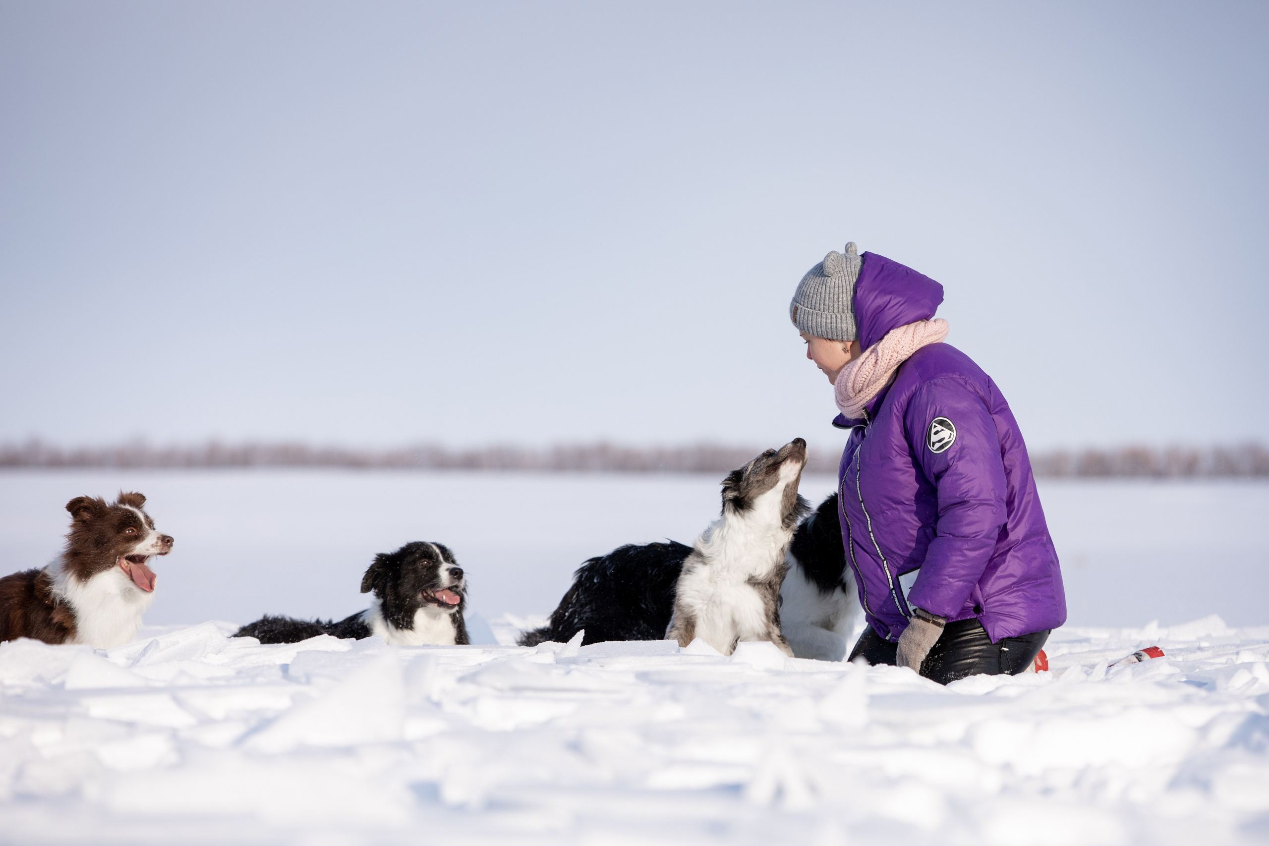 Мороз и солнце. О нас