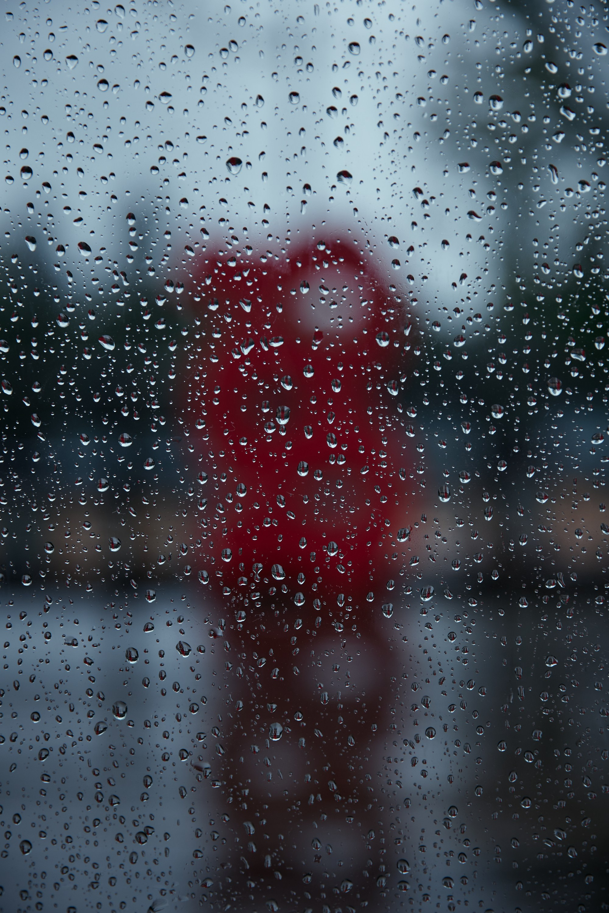 BUNTER GROUP. Дмитрий Мазуркевич: Профессиональный Репортажный Фотограф