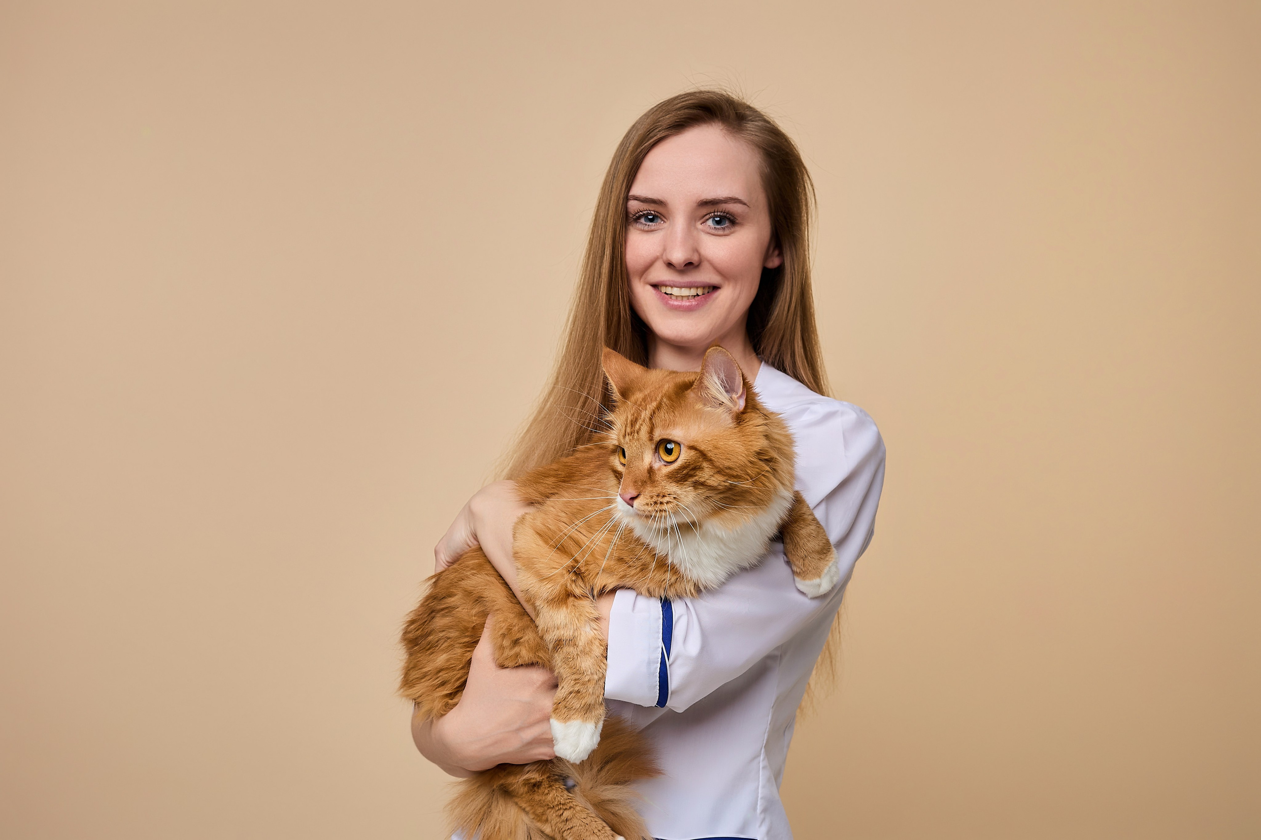 Контент для ветеринарного лендинга правительства Москвы. Фотограф и Видеограф в Москве. Олег Корушев