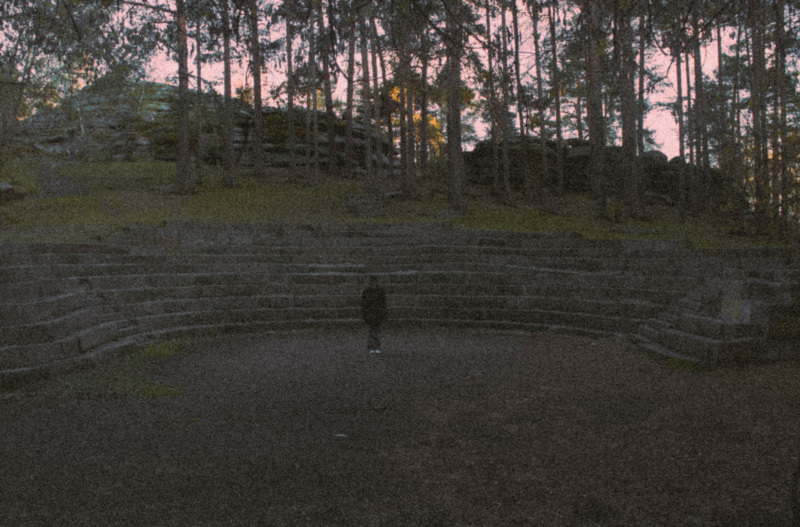 «Без названия»