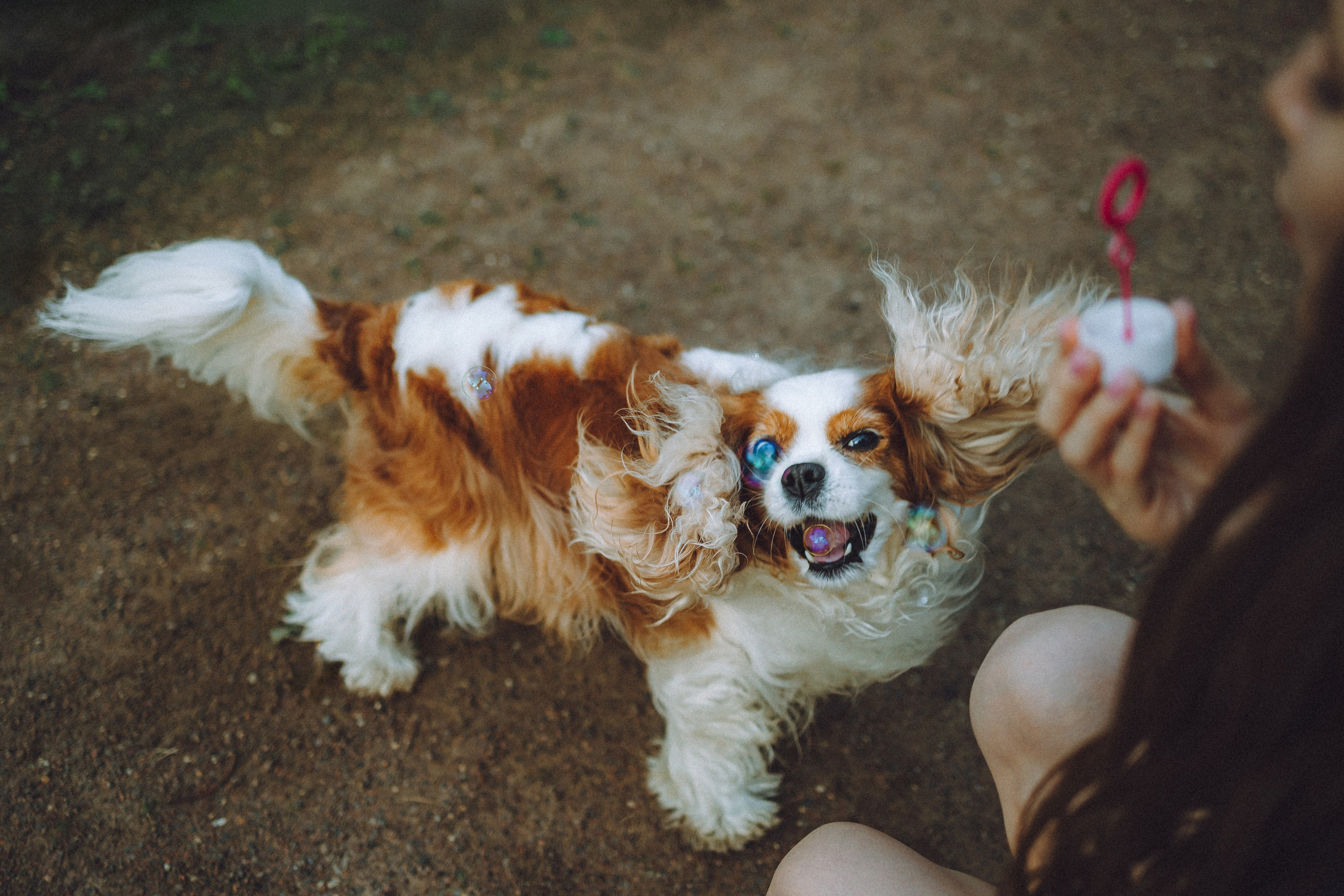 Наташа и Вики