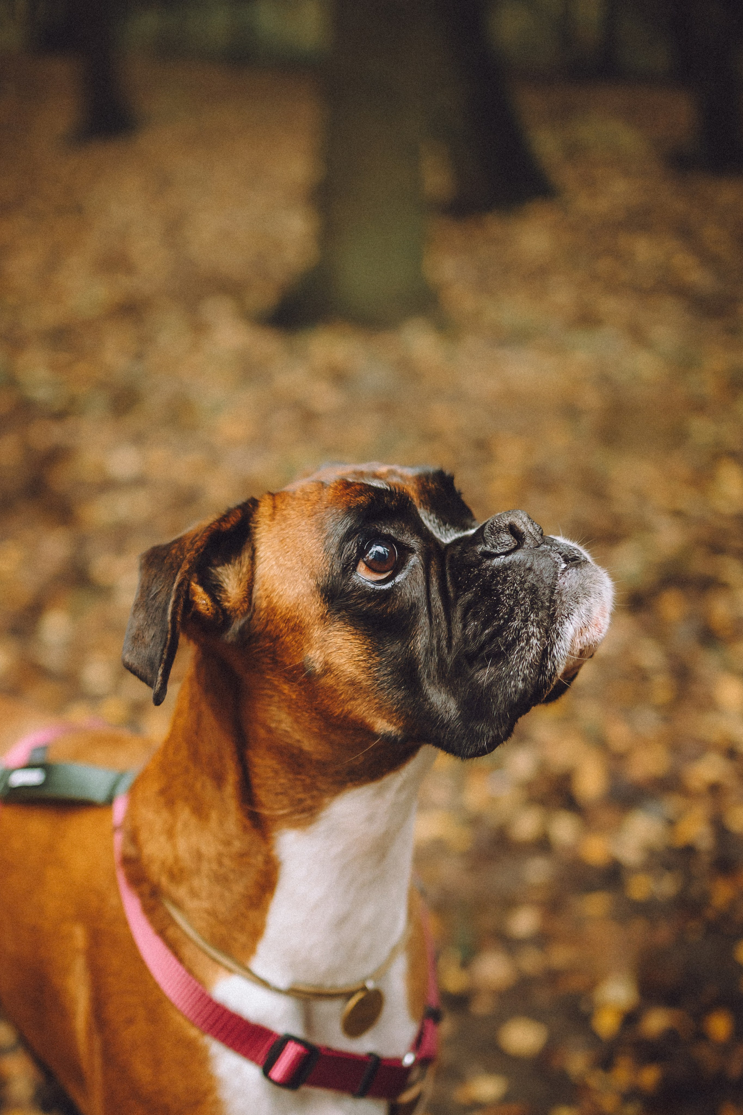 Элли и ее семья