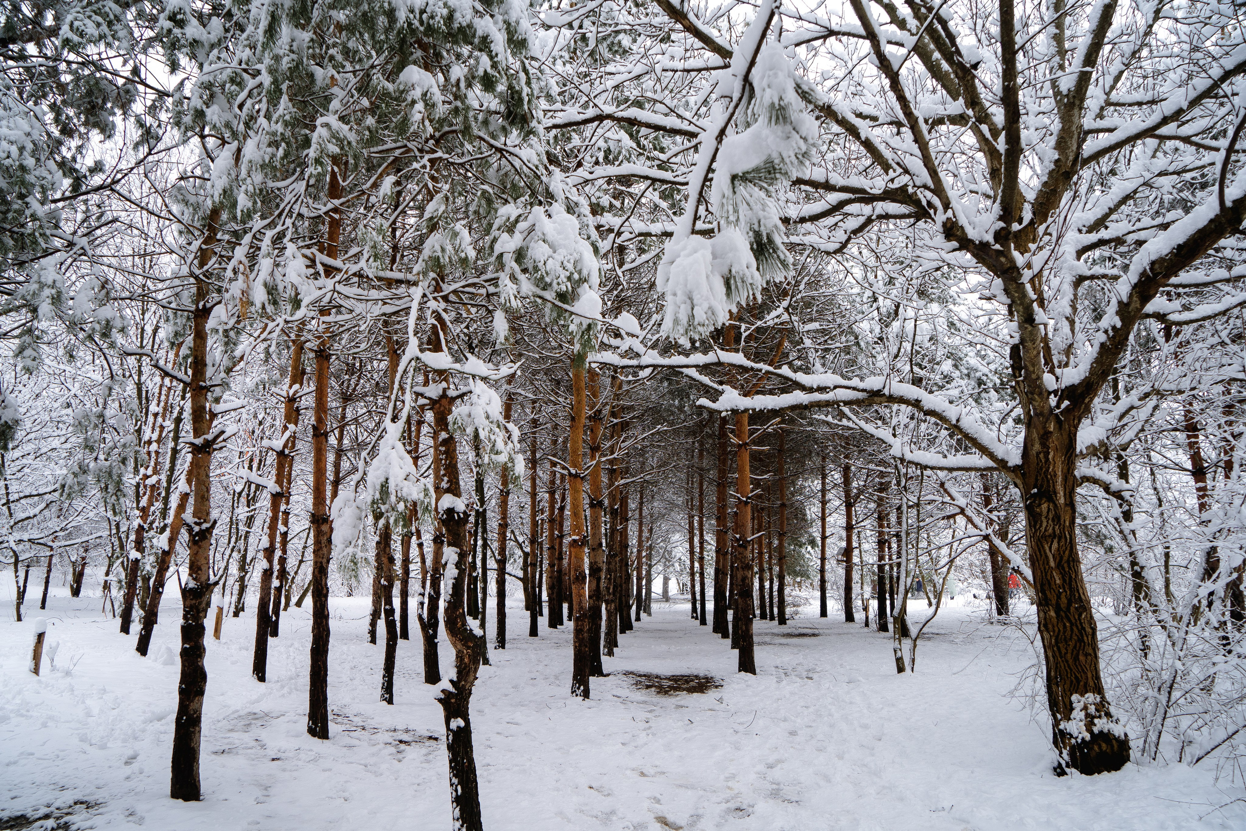 Зима 2024. Свадебный и семейный фотограф/видеограф в Краснодаре Наталья Осинская