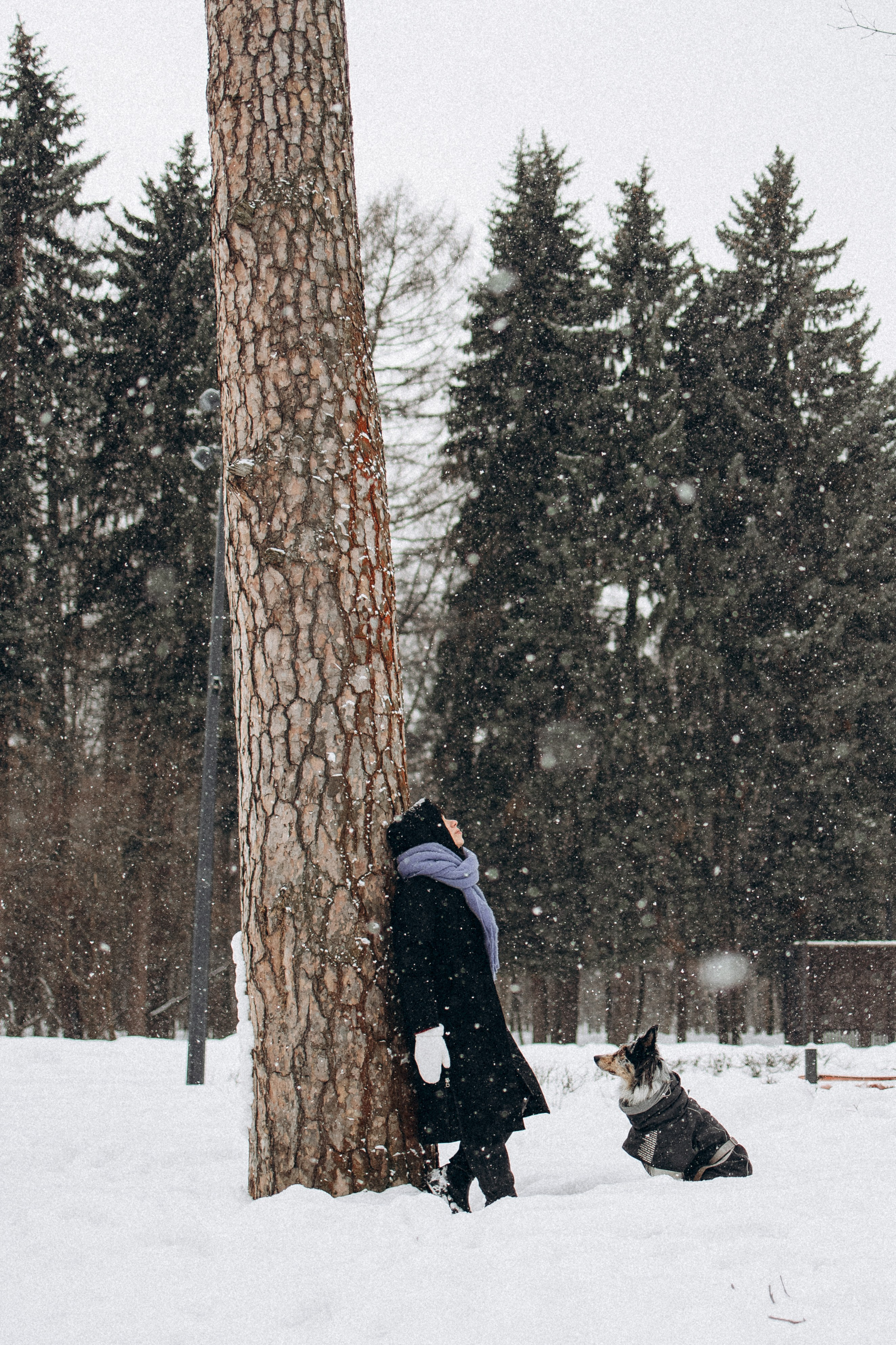 Настя и Тор. Фотораф — анималист Мария Шистка