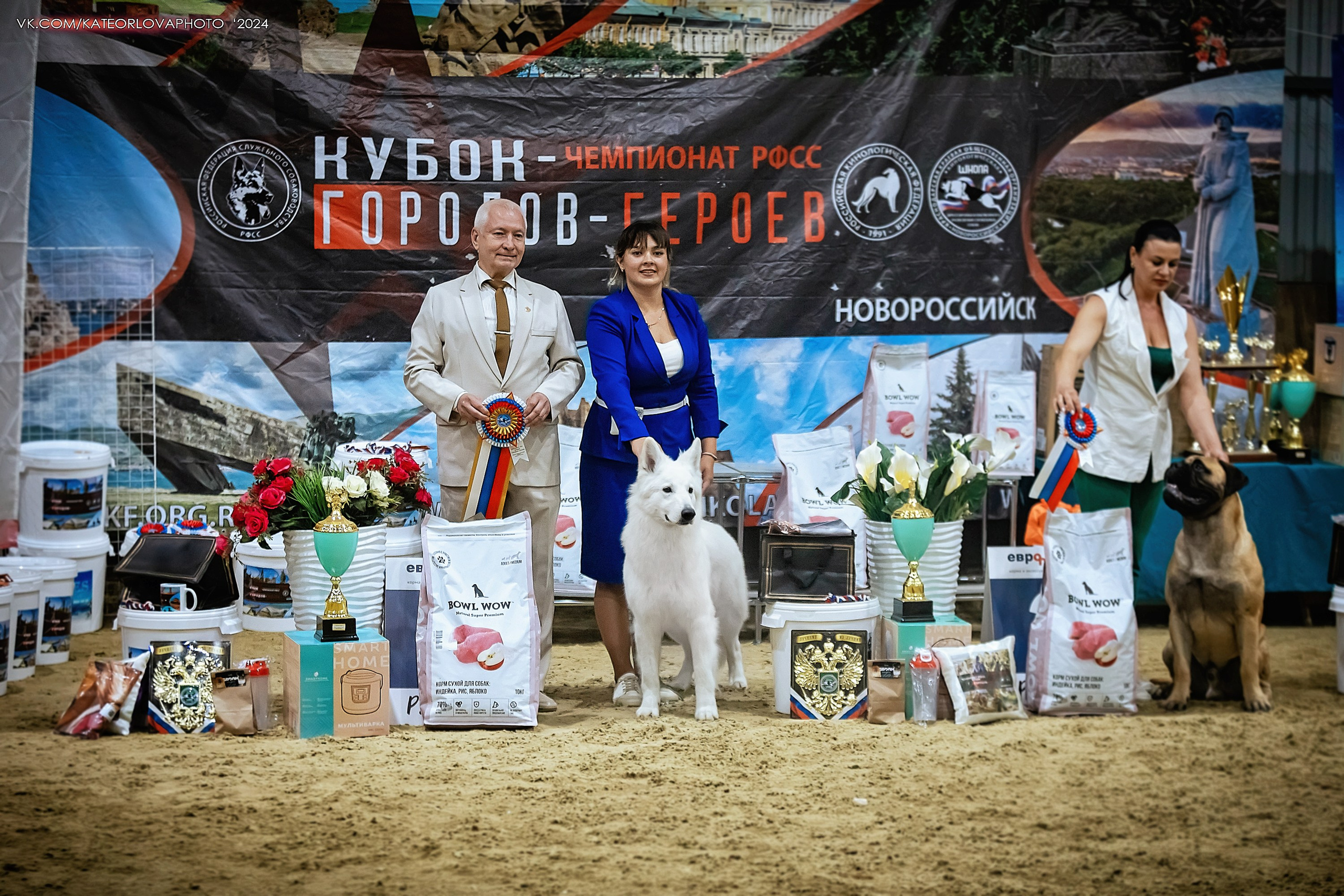 Фотосъемка собак, щенков, на выставках, фотограф анималист Россия воронеж. Питомник собак Акита, Хаски, Корги