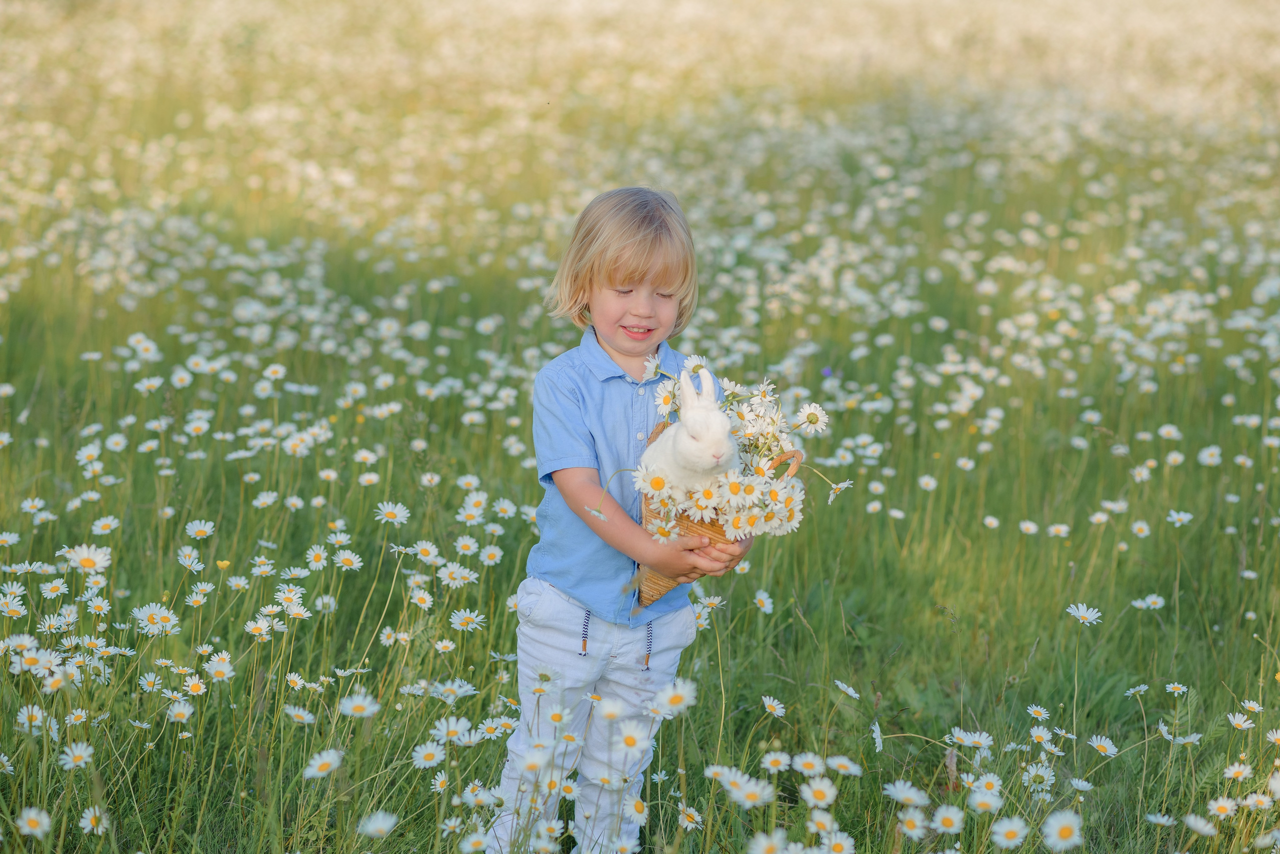 Ромашковое поле. Семейный фотограф в Рязани Мария Ермакова