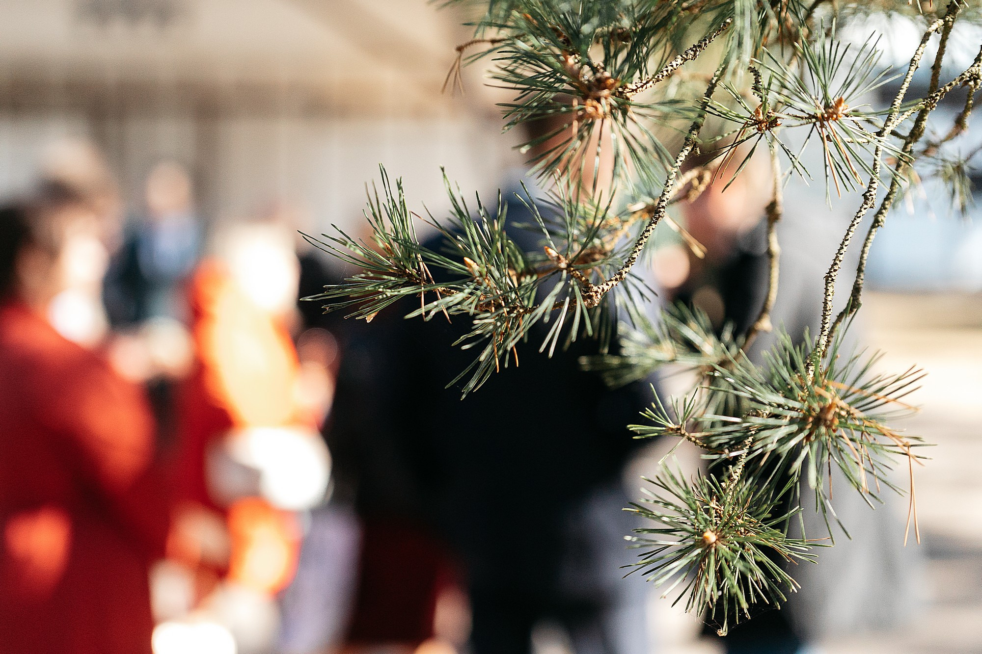 Свадебная съёмка Анастасии и Павла. Боченков Вадим | Фотограф в Пскове и Санкт-Петербурге