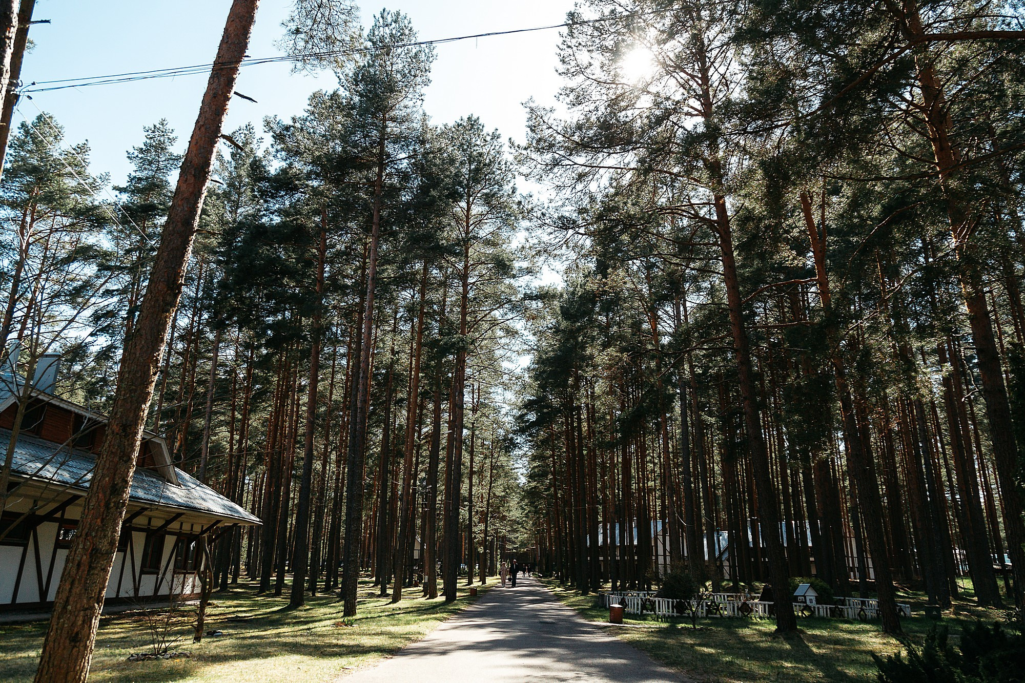 Свадебная съёмка Анастасии и Павла. Боченков Вадим | Фотограф в Пскове и Санкт-Петербурге