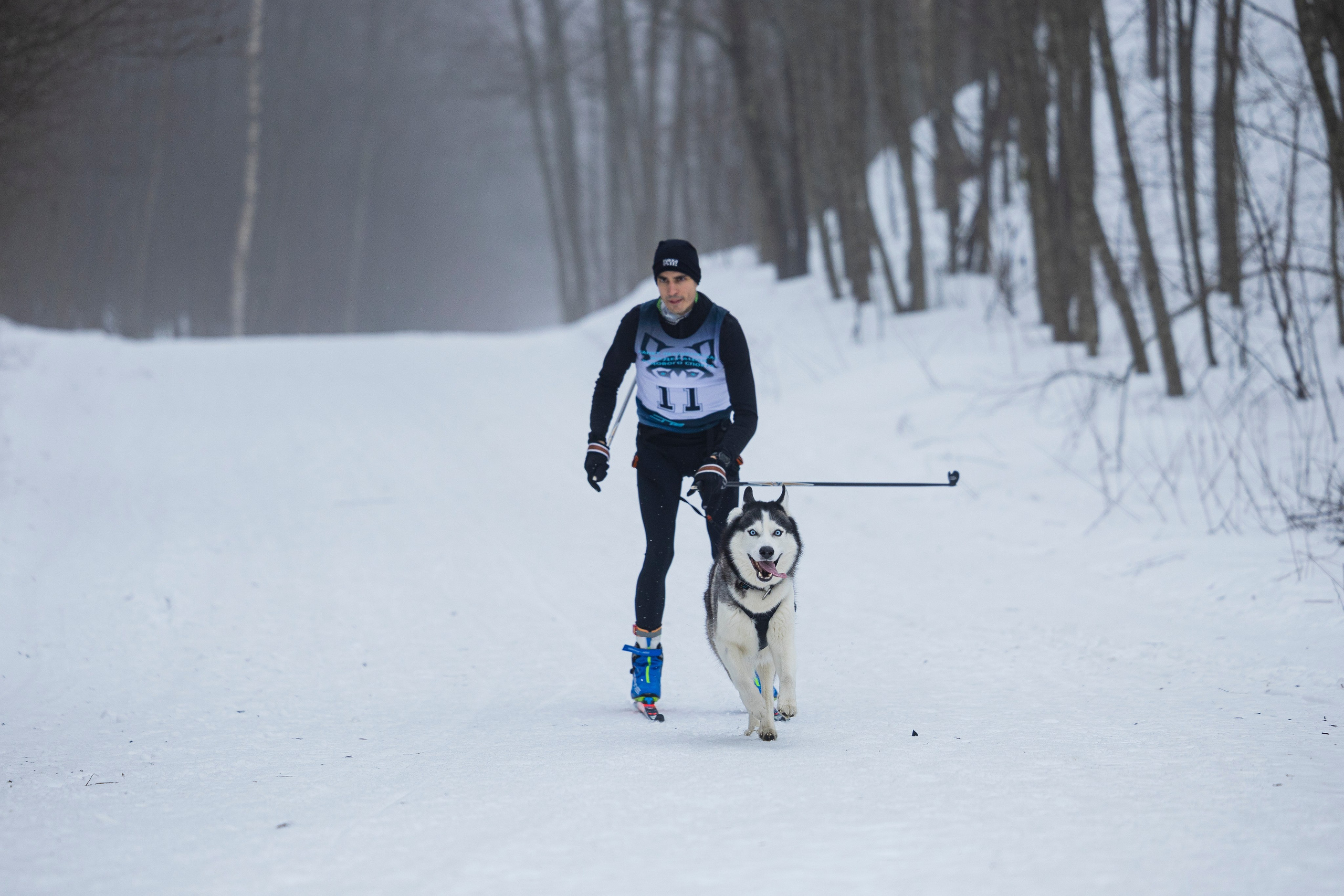 Зимний Чемпионат Санкт-Петербурга по ездовому спорту. Фотограф-анималист Анна Маринич