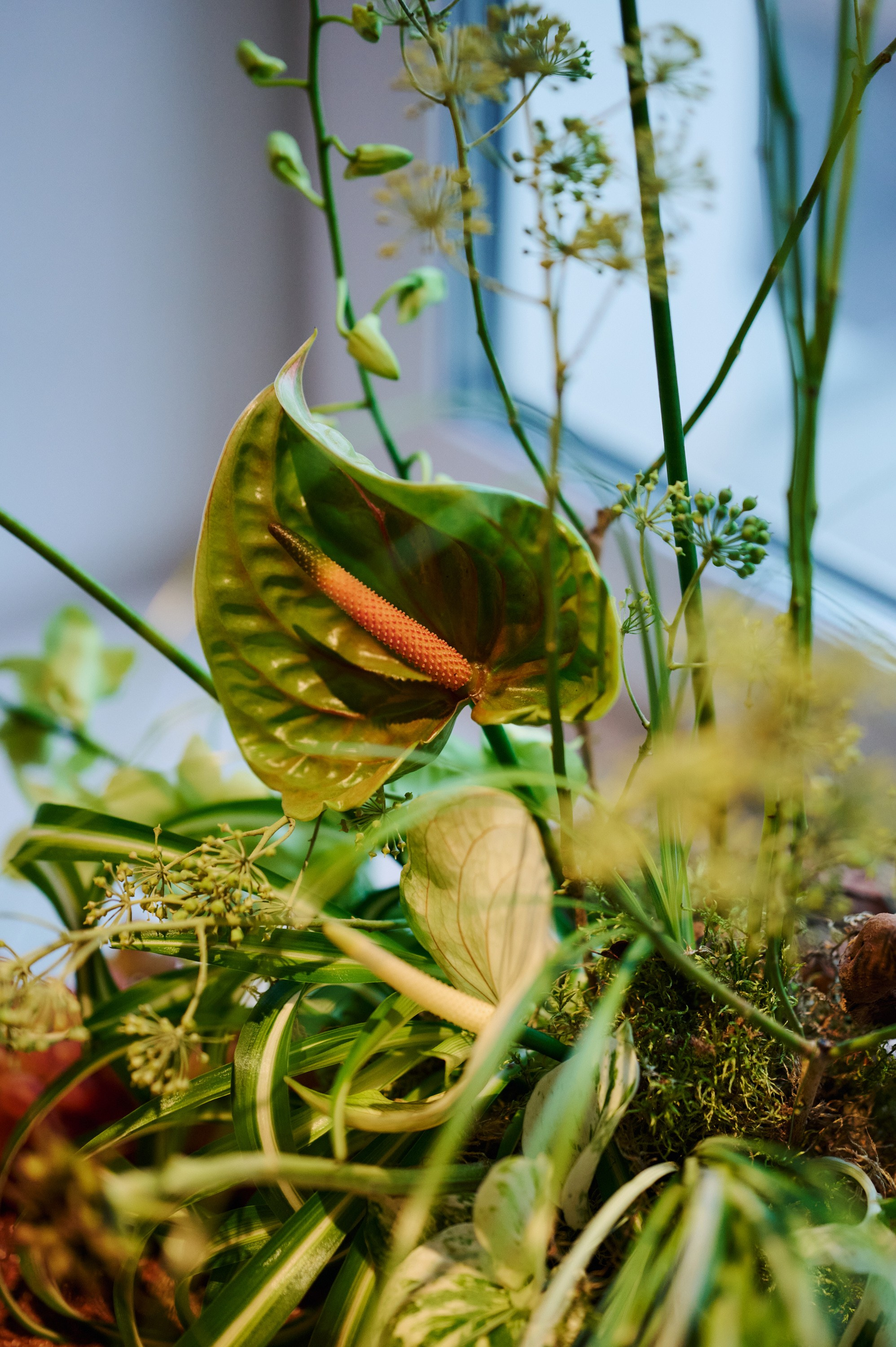 Закрытый показ спектакля «ГАМЛЕТ». Фотограф Сергей Бойко Москва