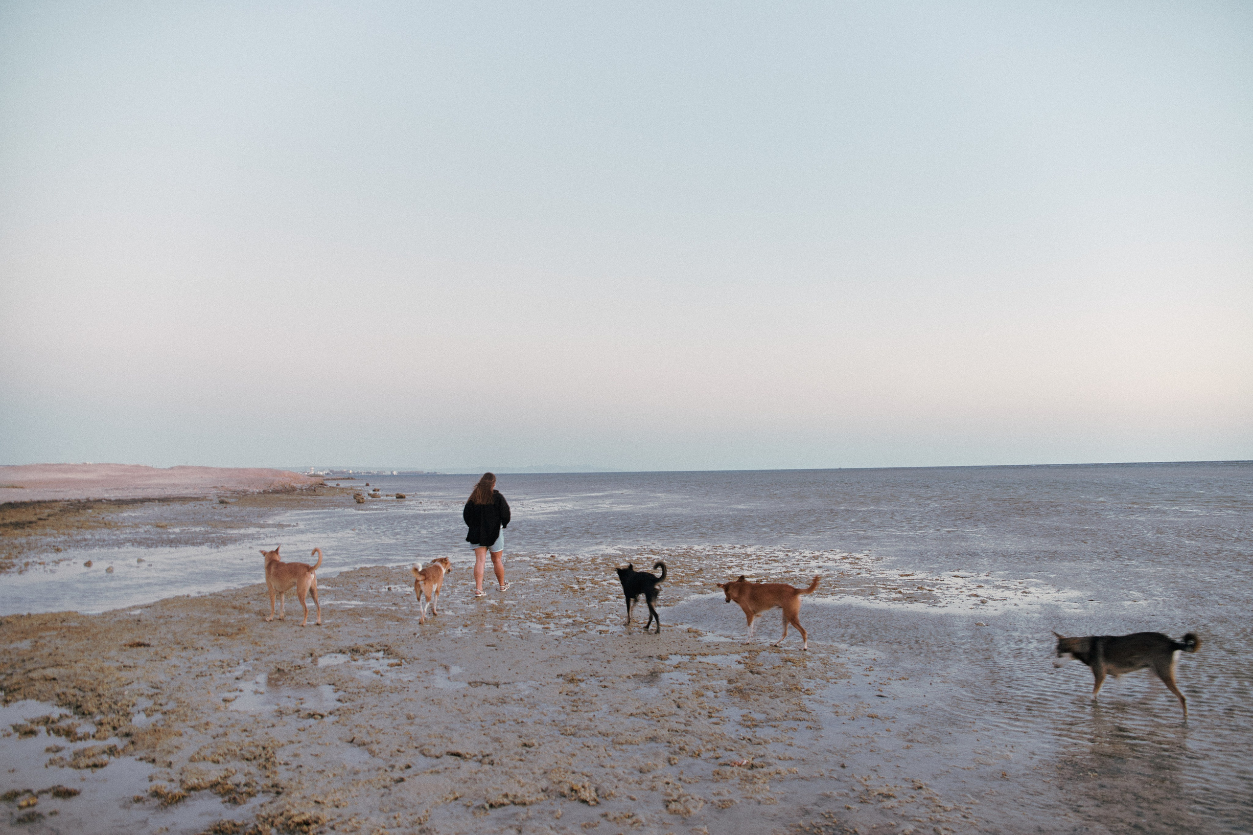 Snizhana. Jorgis Talè — photographer, kind person, teacher of arts and other mag