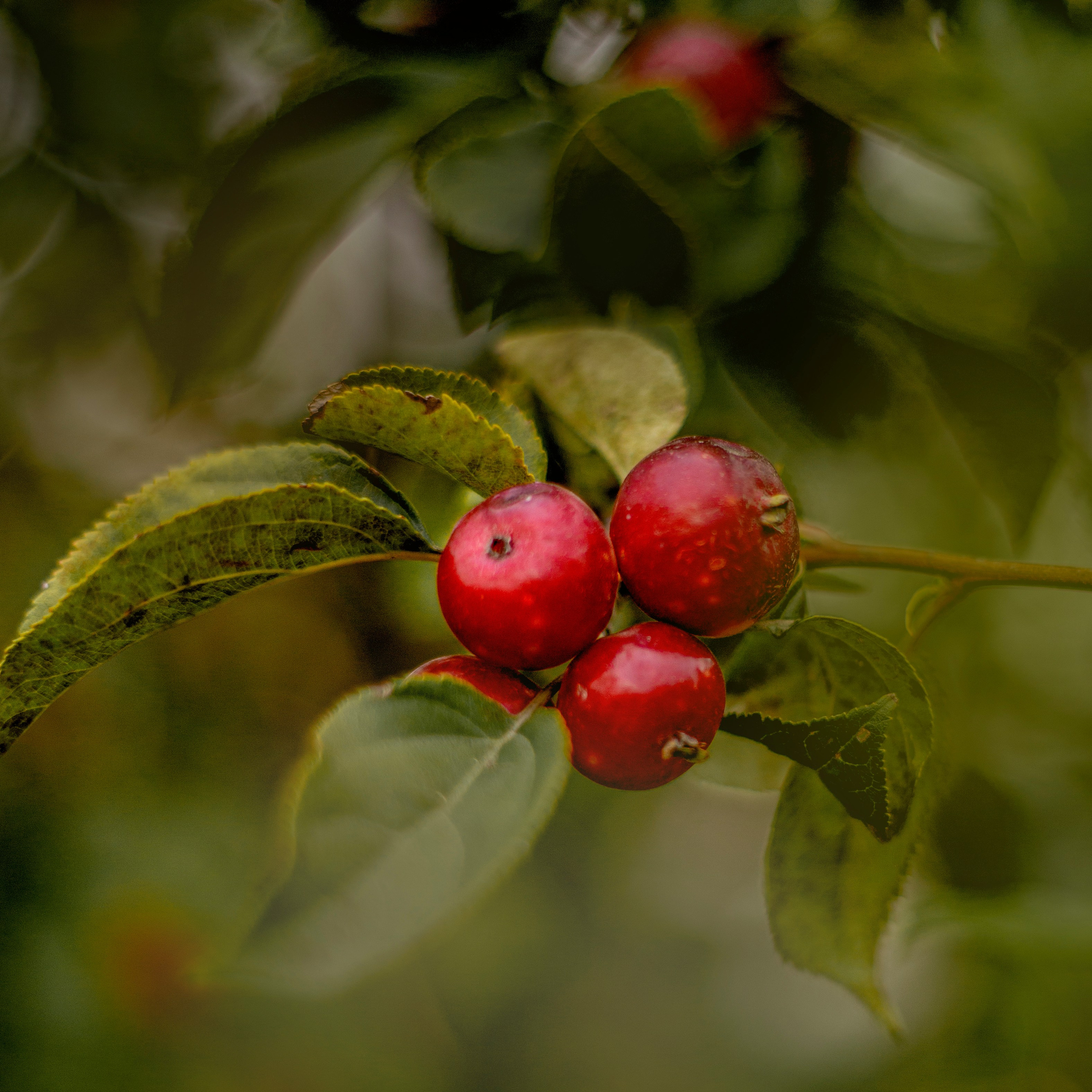 Просто красиво. Детский и семейный фотограф Барнаул Татьяна Губанова
