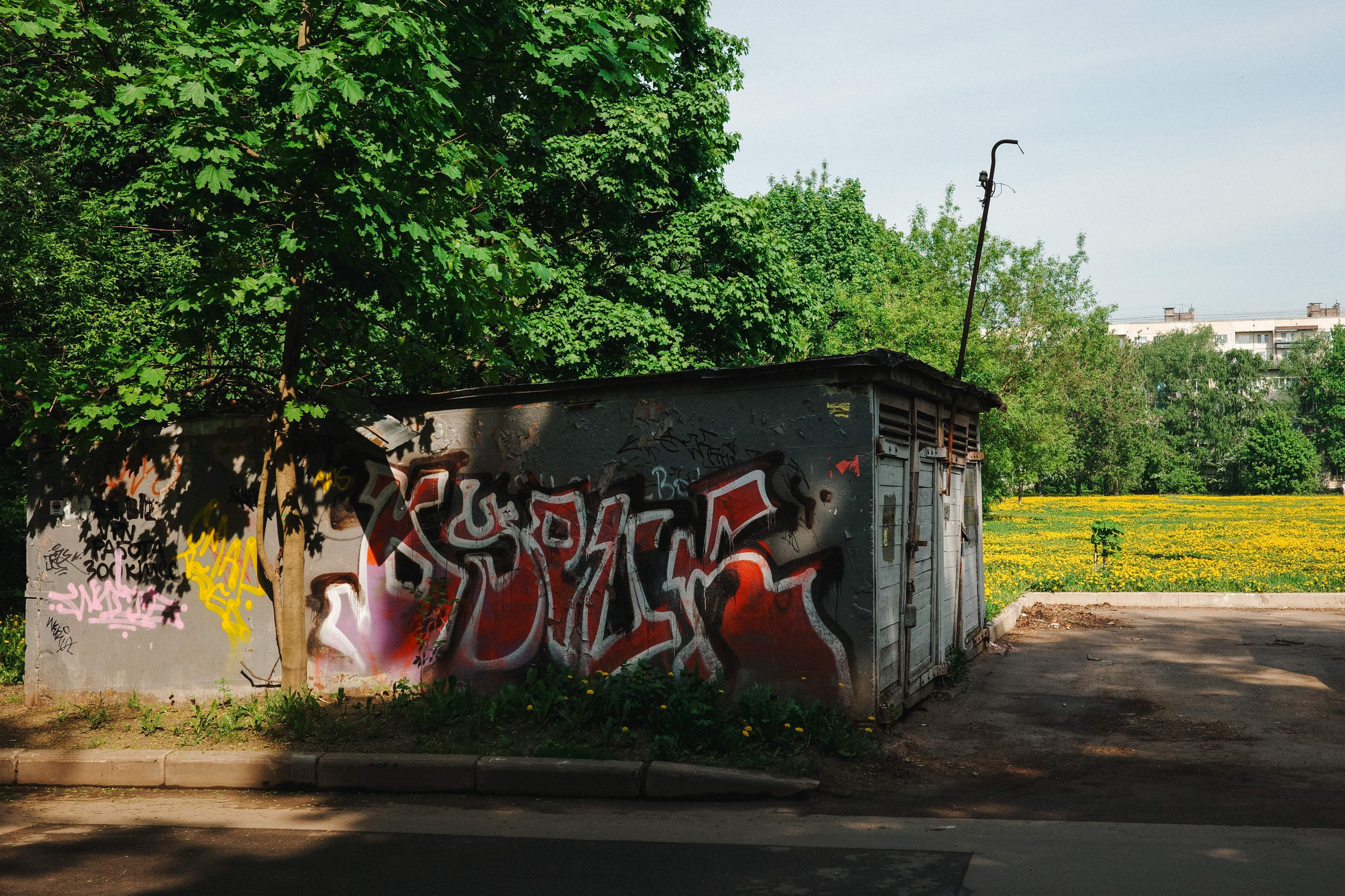 2024.05. Фотограф Алексей Алексеев