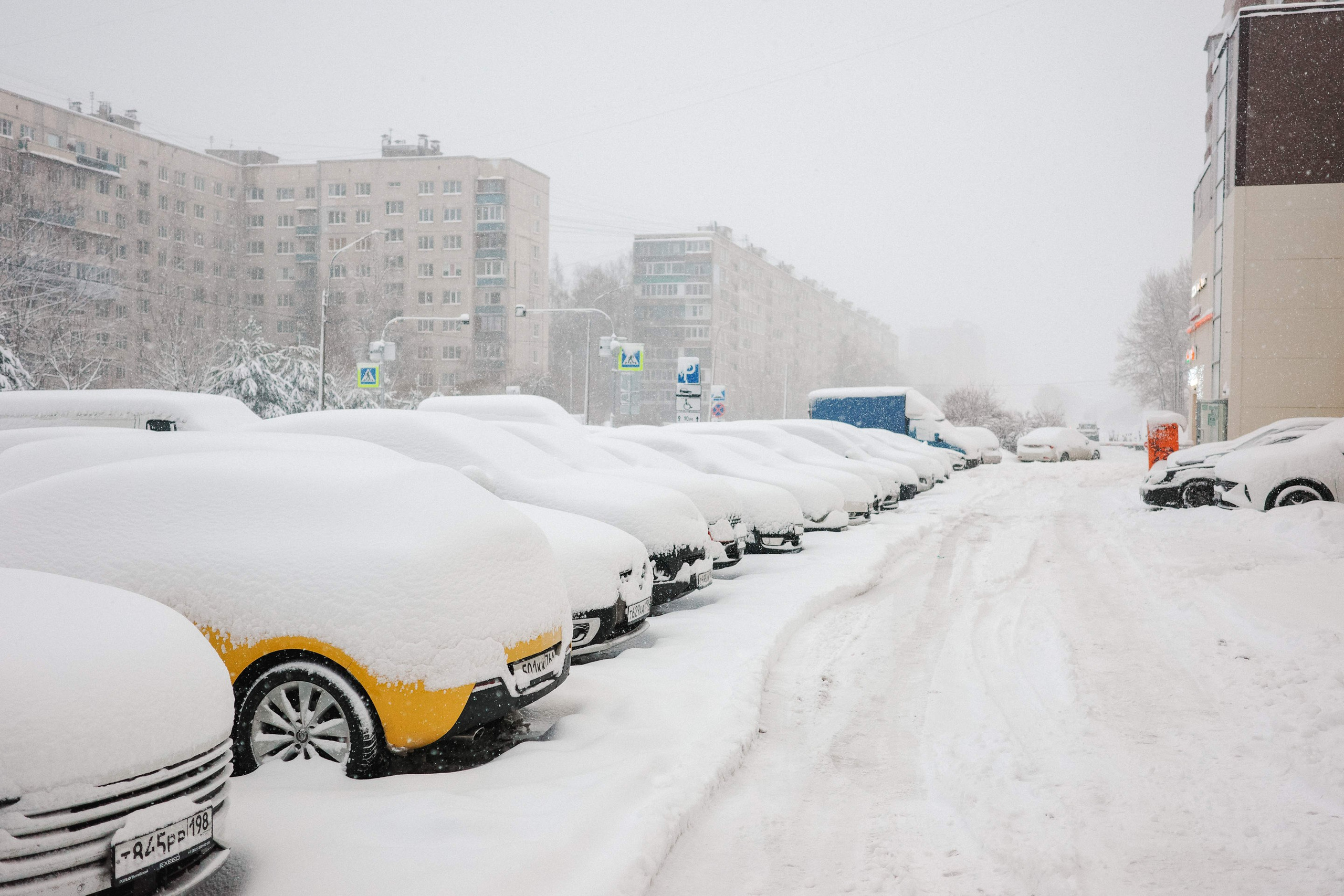 2025.01. Фотограф Алексей Алексеев