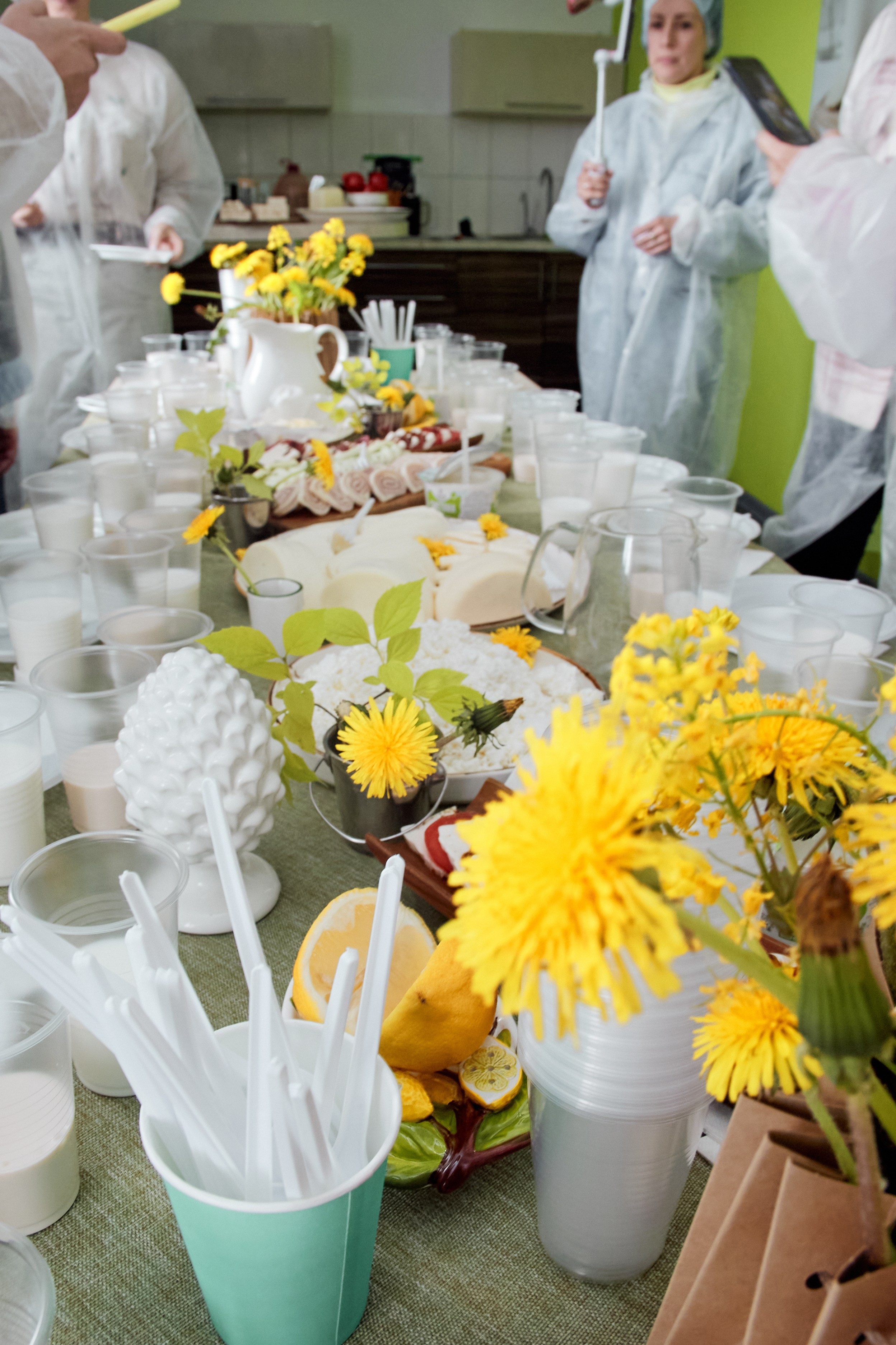 Экскурсия «Агроферма-Катынь». Фотограф в Смоленске Ася Польшина