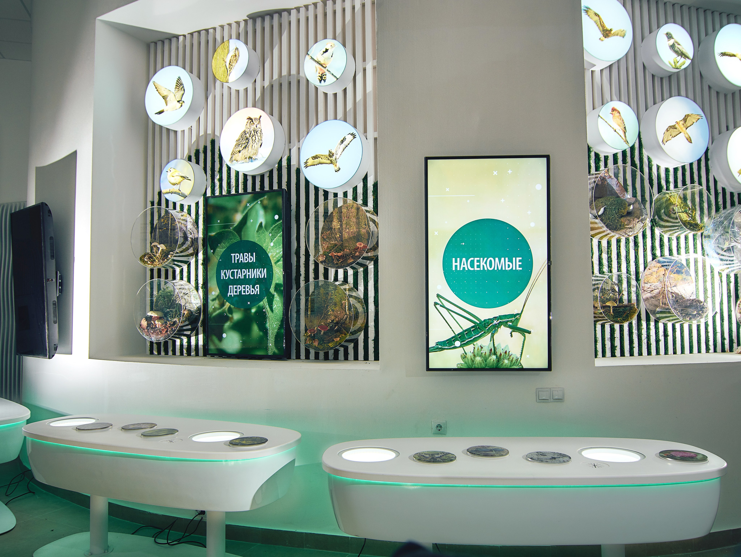 Интерьерная съемка Визит-центр Национальный парк «Кисловодский». Константин Кордонский | Интерьерный и food-фотограф в Кисловодске и КМВ