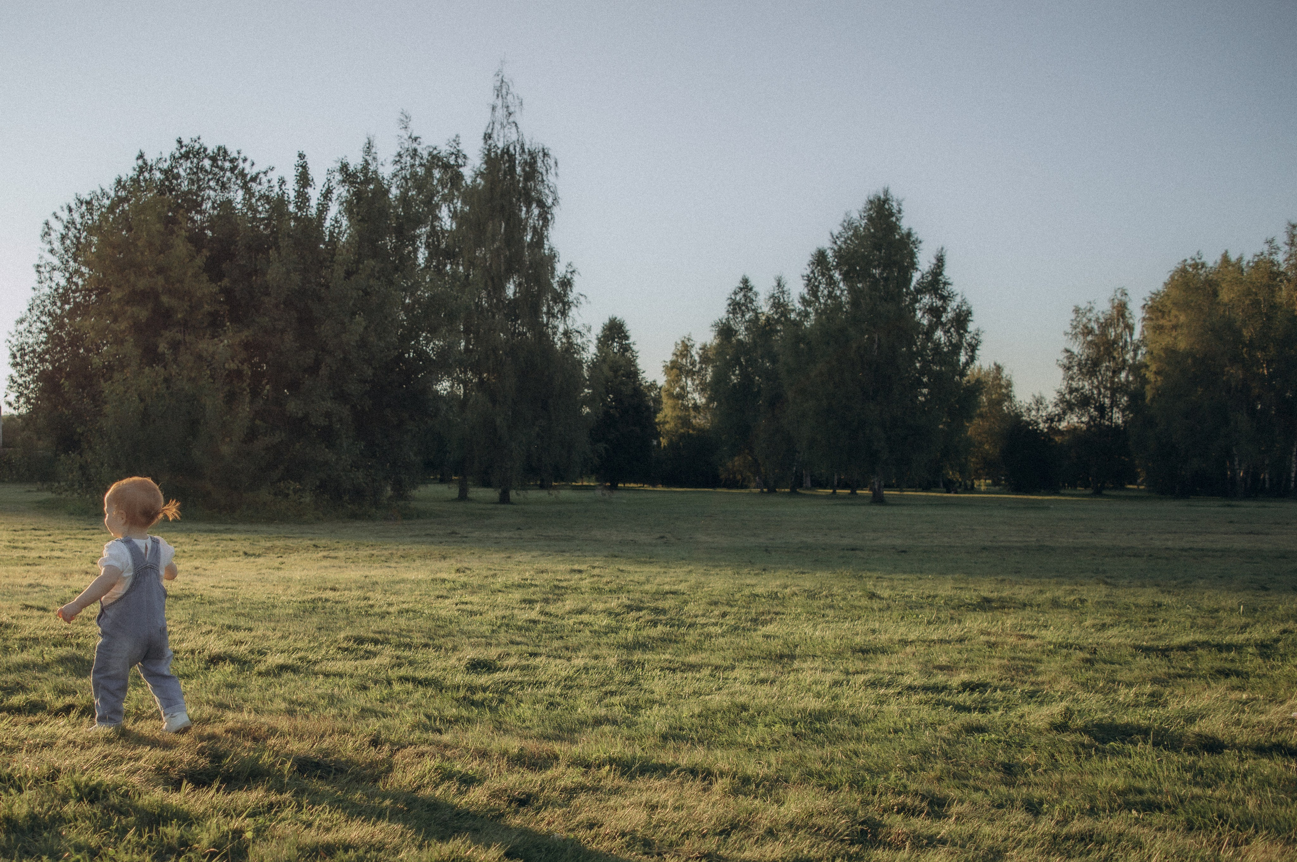 Аромат августа. Семейная летняя фотосессия в парке. Москва. Юлия Левада Семейный и женский фотограф