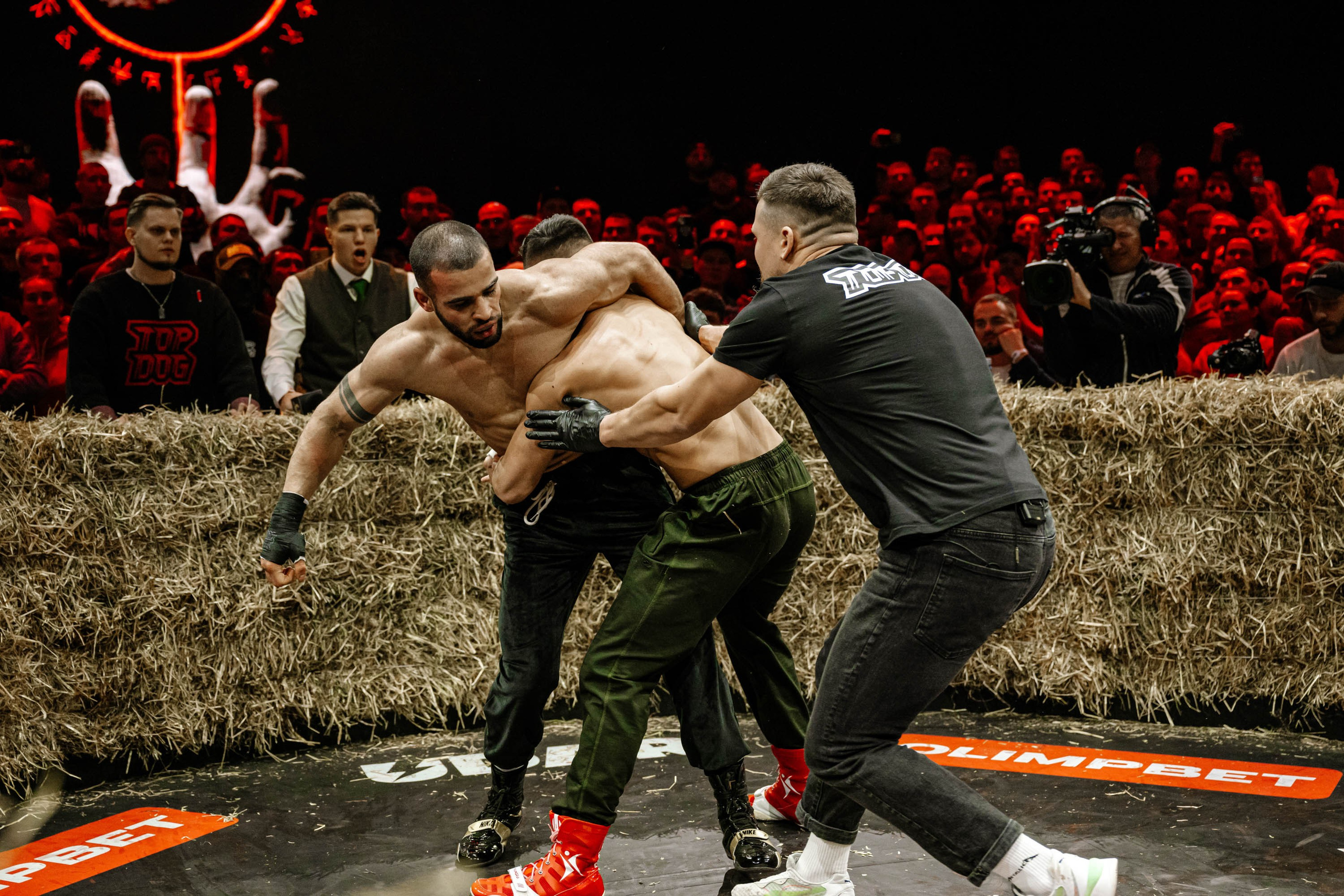 TOP DOG. Максим Комаров — Профессиональный фотограф