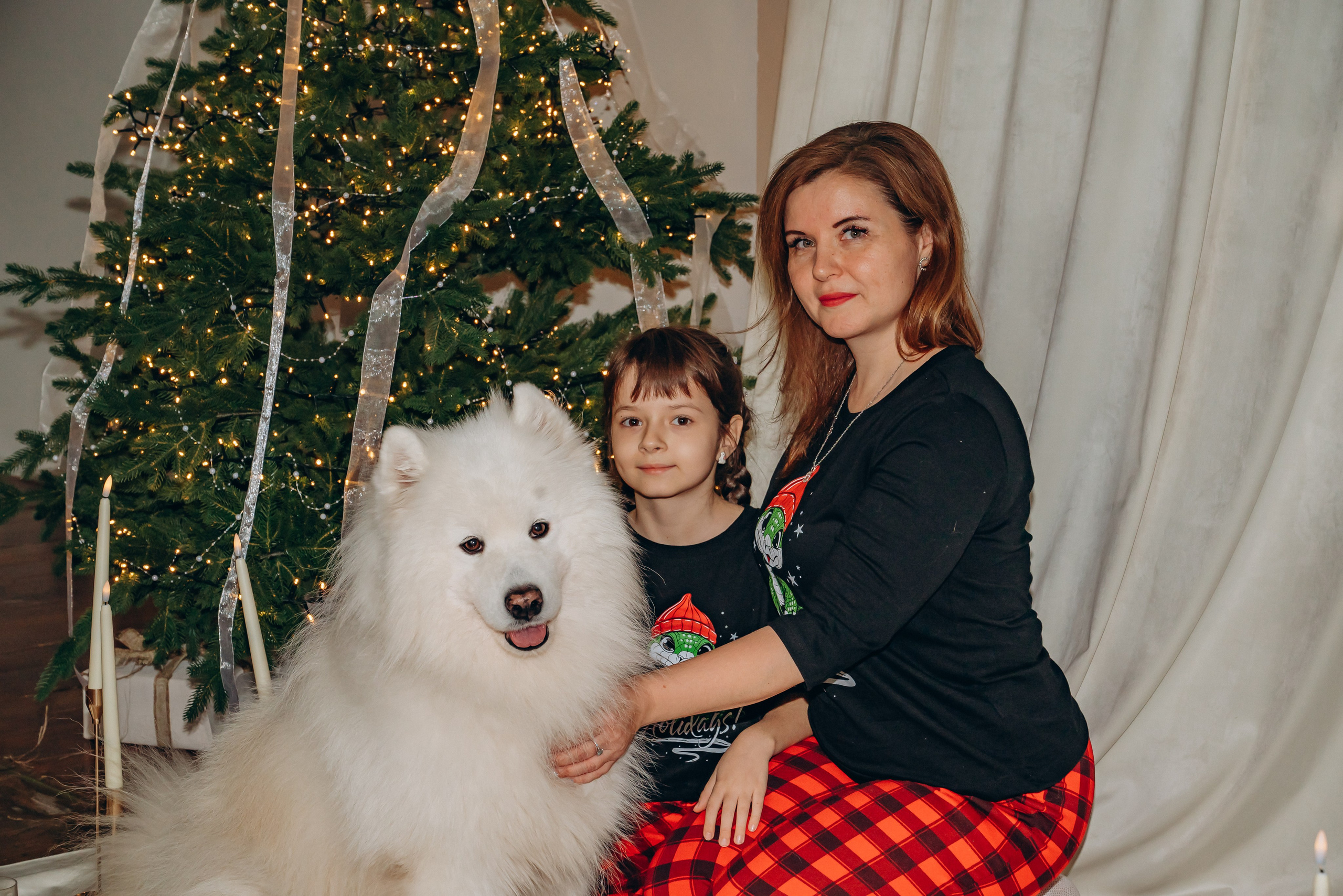 Новый год с самоедом