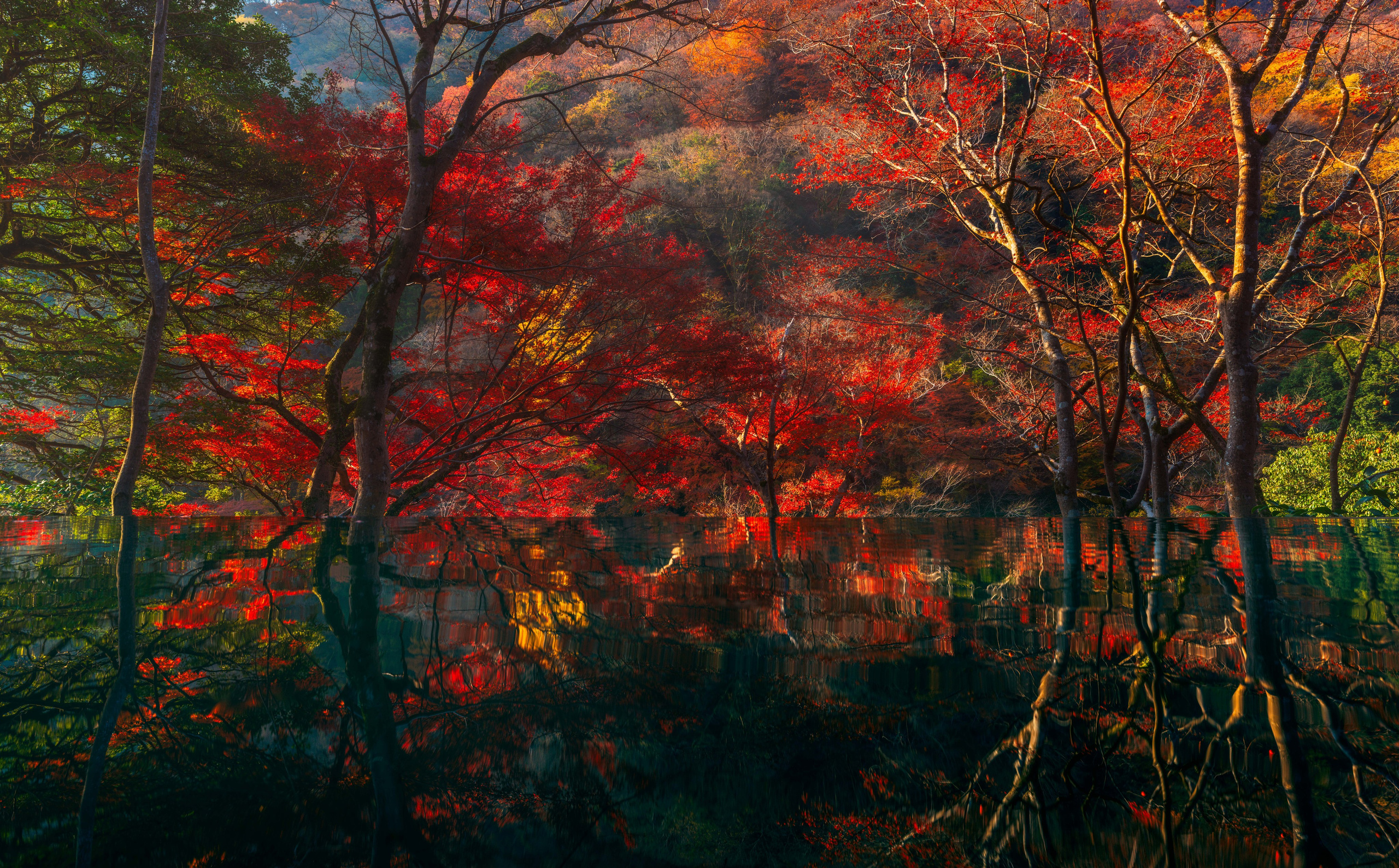 Киото. Сергей Садов о путешествиях, пейзажах и архитектуре