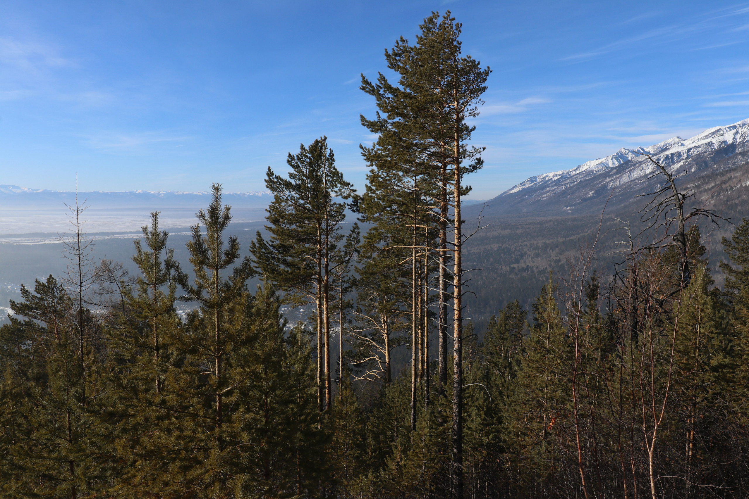 Аршан. Февраль 2025. Путешественник-фотограф из Санкт-Петербурга Татьяна Свистулина