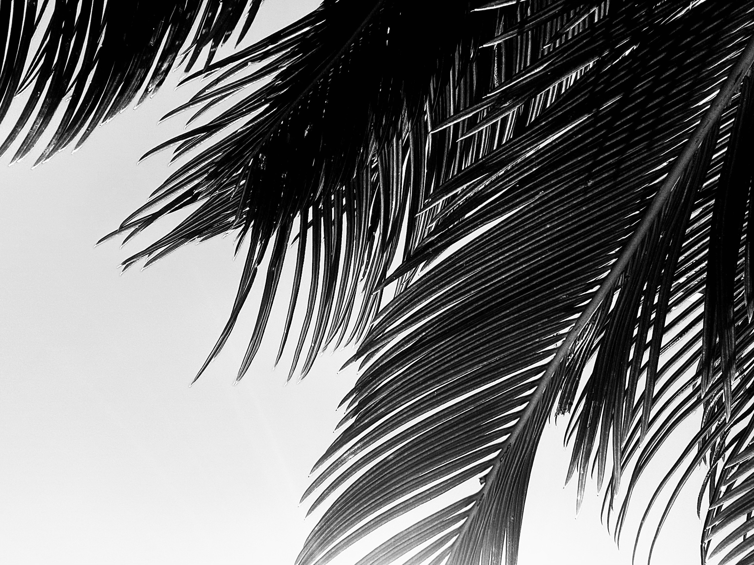 КАТЕРИНА ТУРИЛКИНА | ФОТОГРАФ СОЧИ КРАСНОДАР