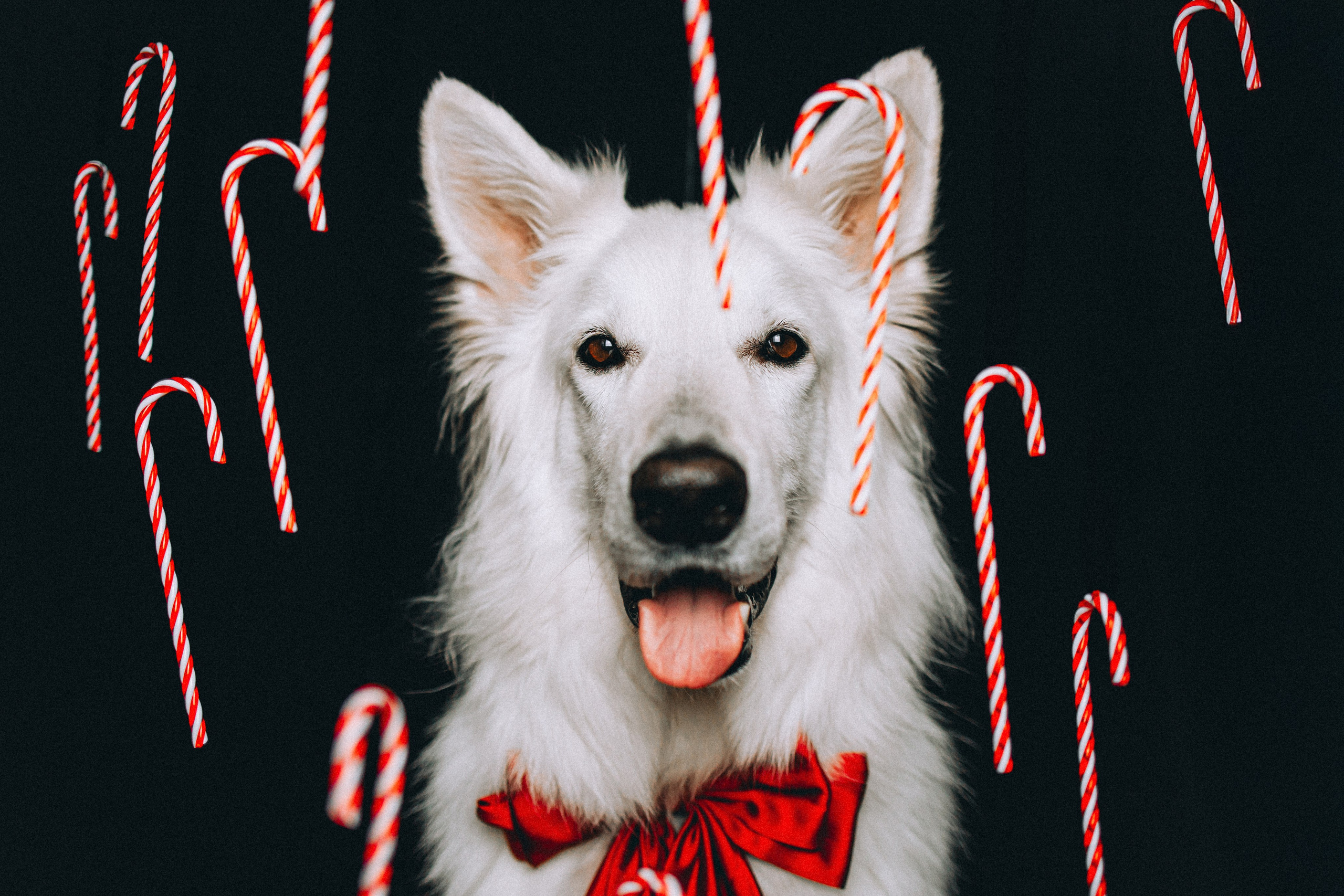 Джек, Бет и Кову