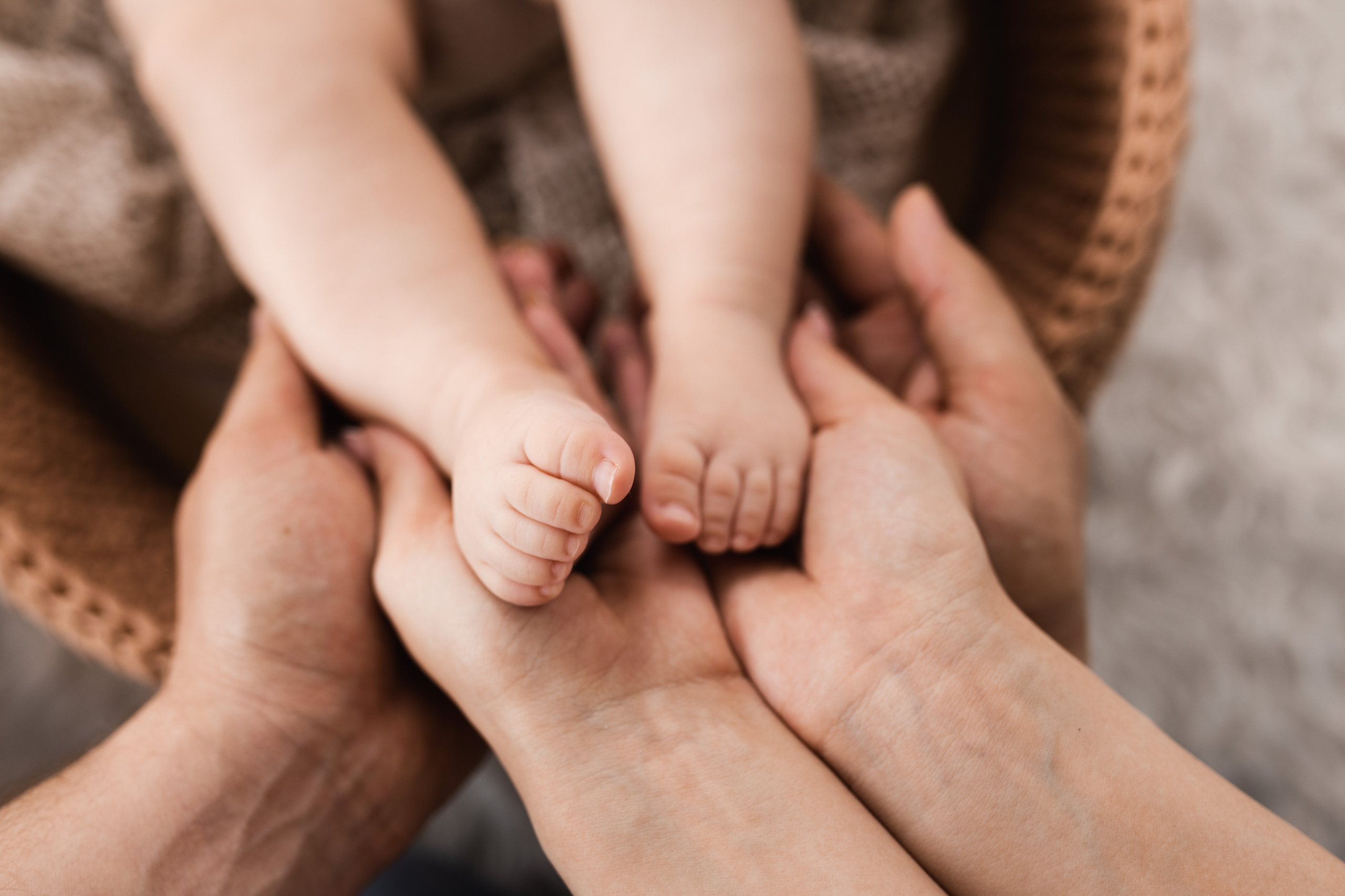 София. Фотограф новорожденных в Барнауле Русакова Анастасия
