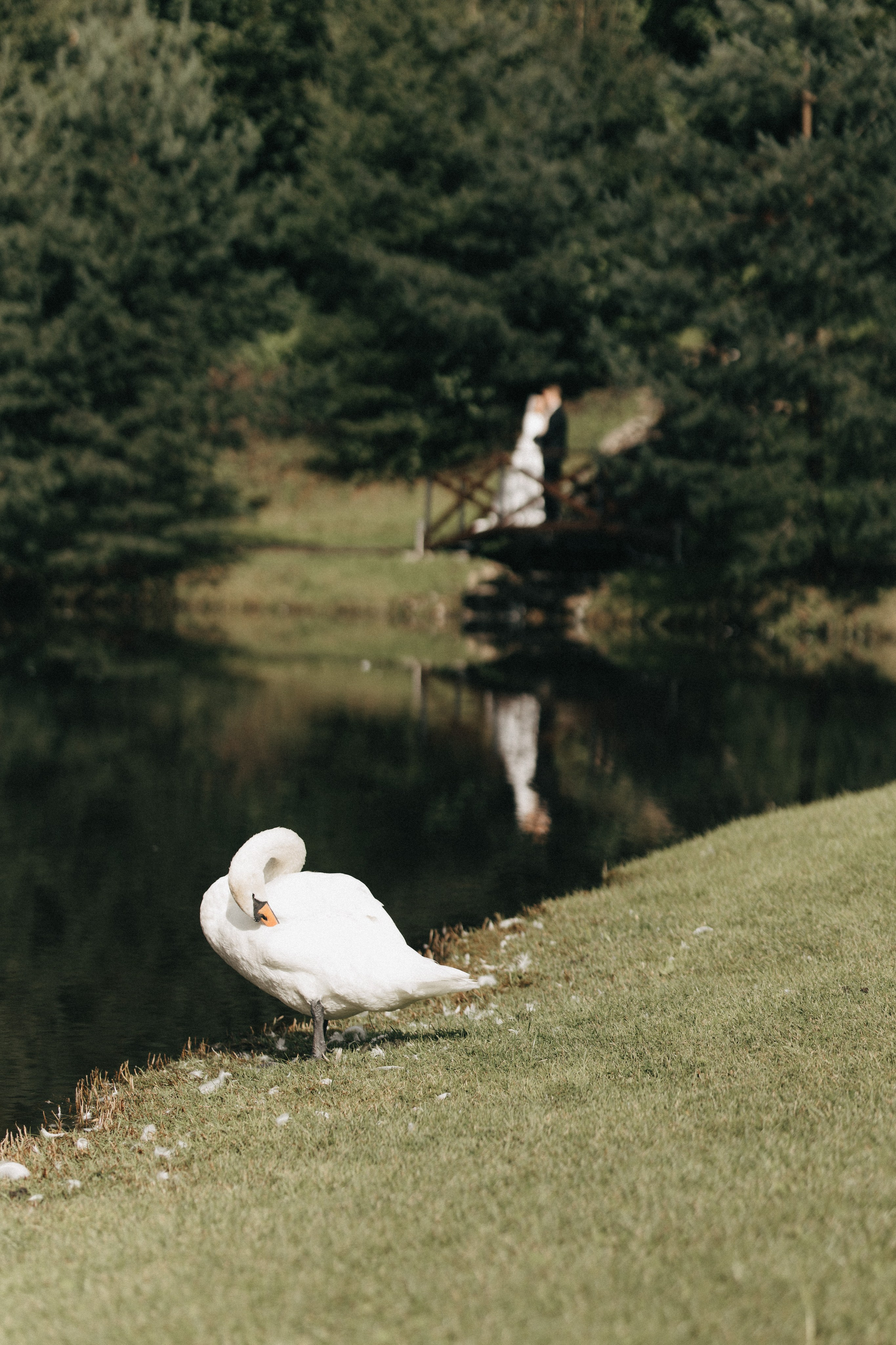 Александра и Илья. Свадебный и портретный фотограф в Калининграде и Москве Марк Юдинцев