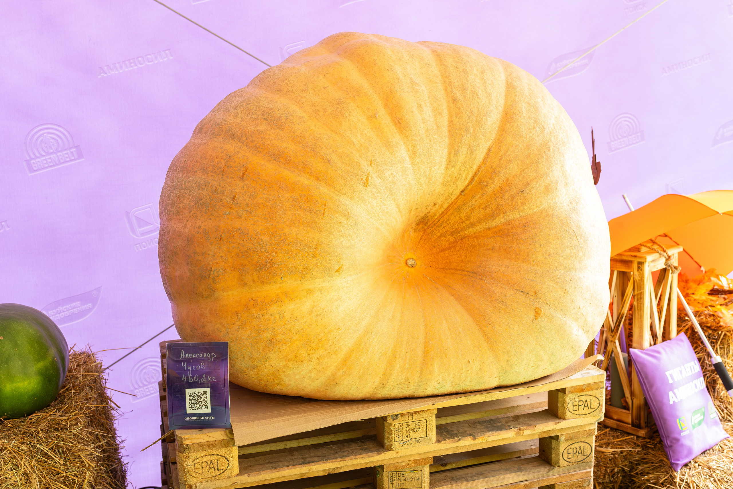 Овощи-гиганты. Александра Куликова фотограф, Москва