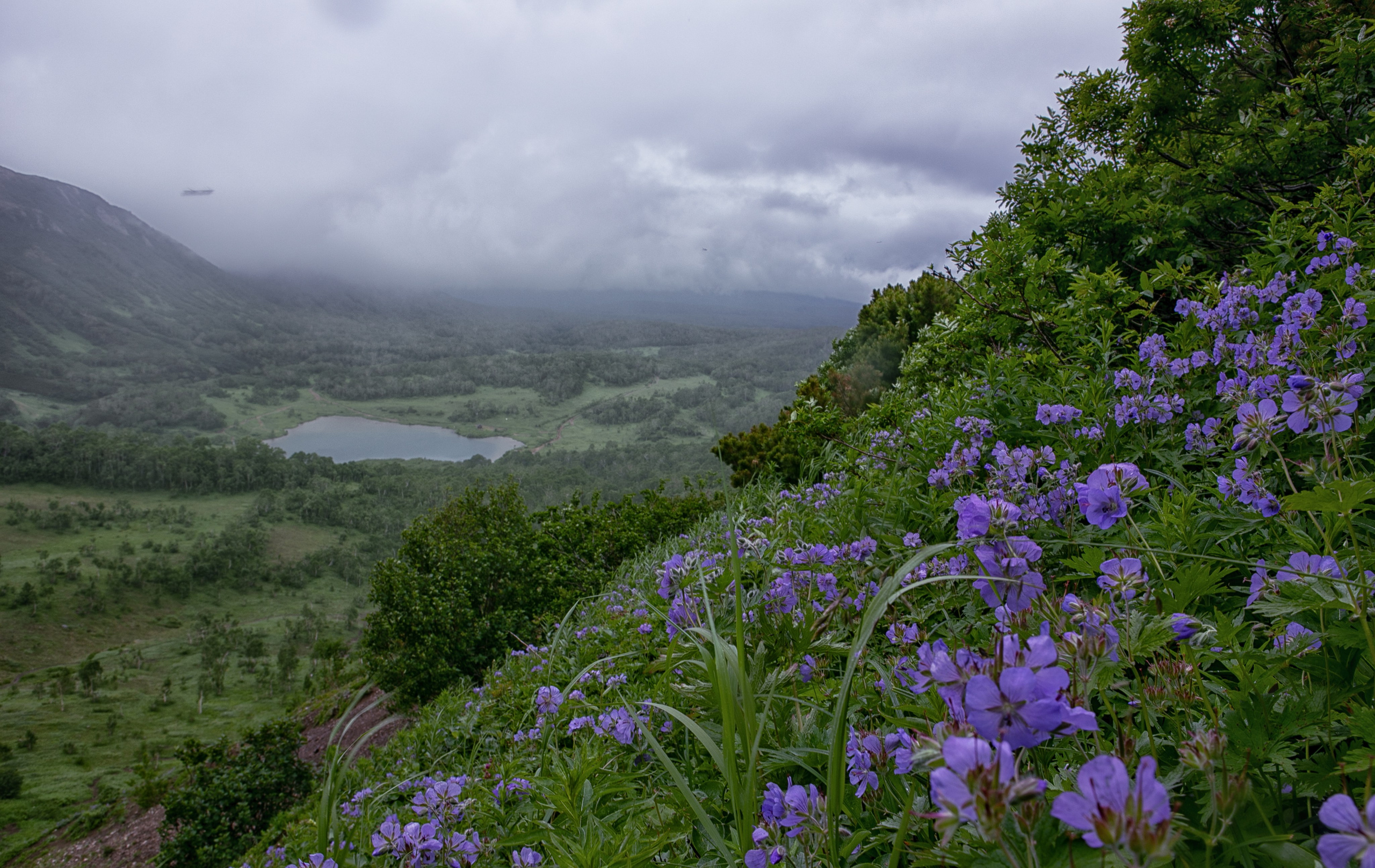 Пейзаж. Фотограф Наталья Туева FineArt съёмка
