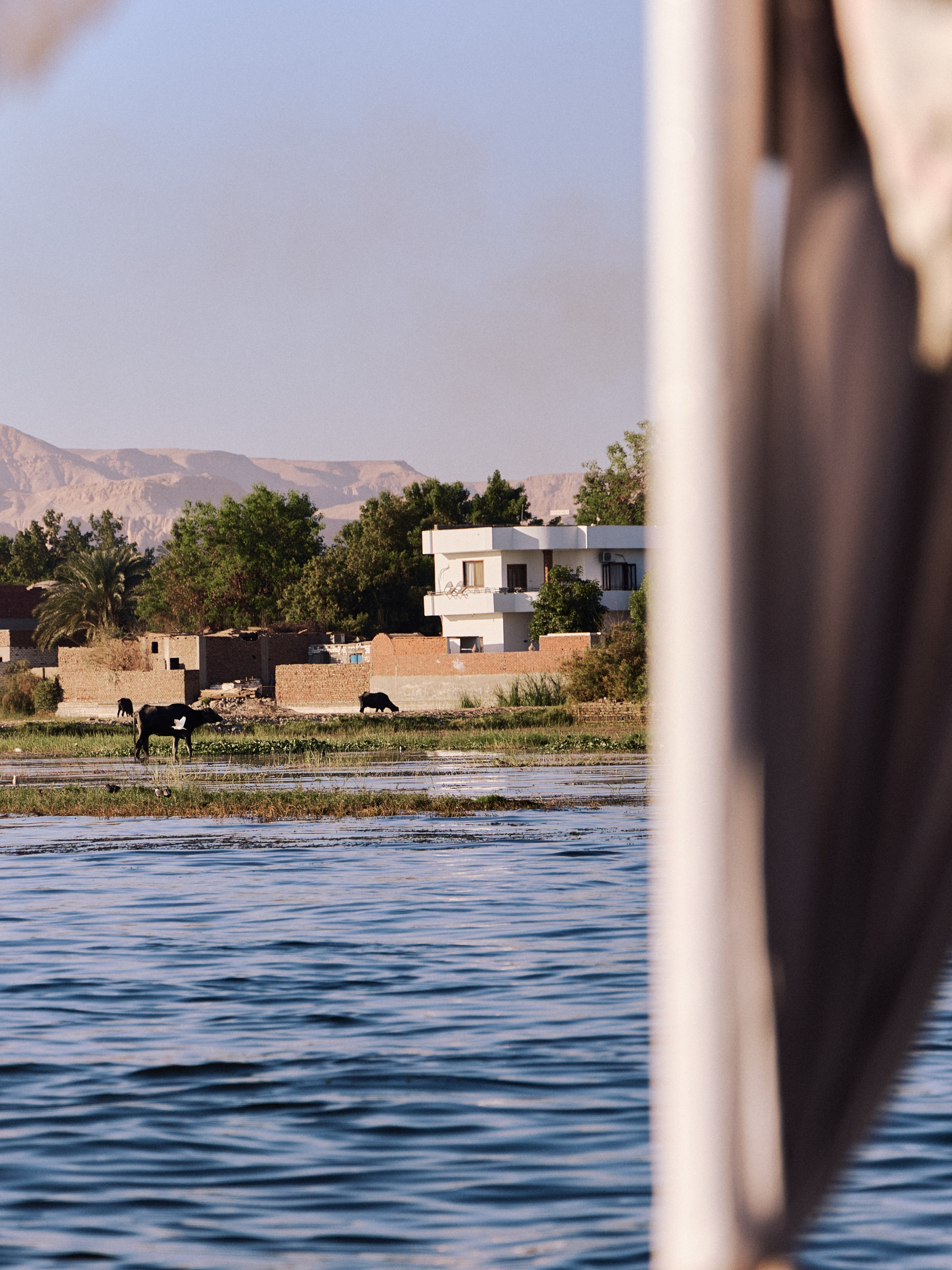 Другое 4. Jorgis — фотограф в Хургаде / обучение фотографии