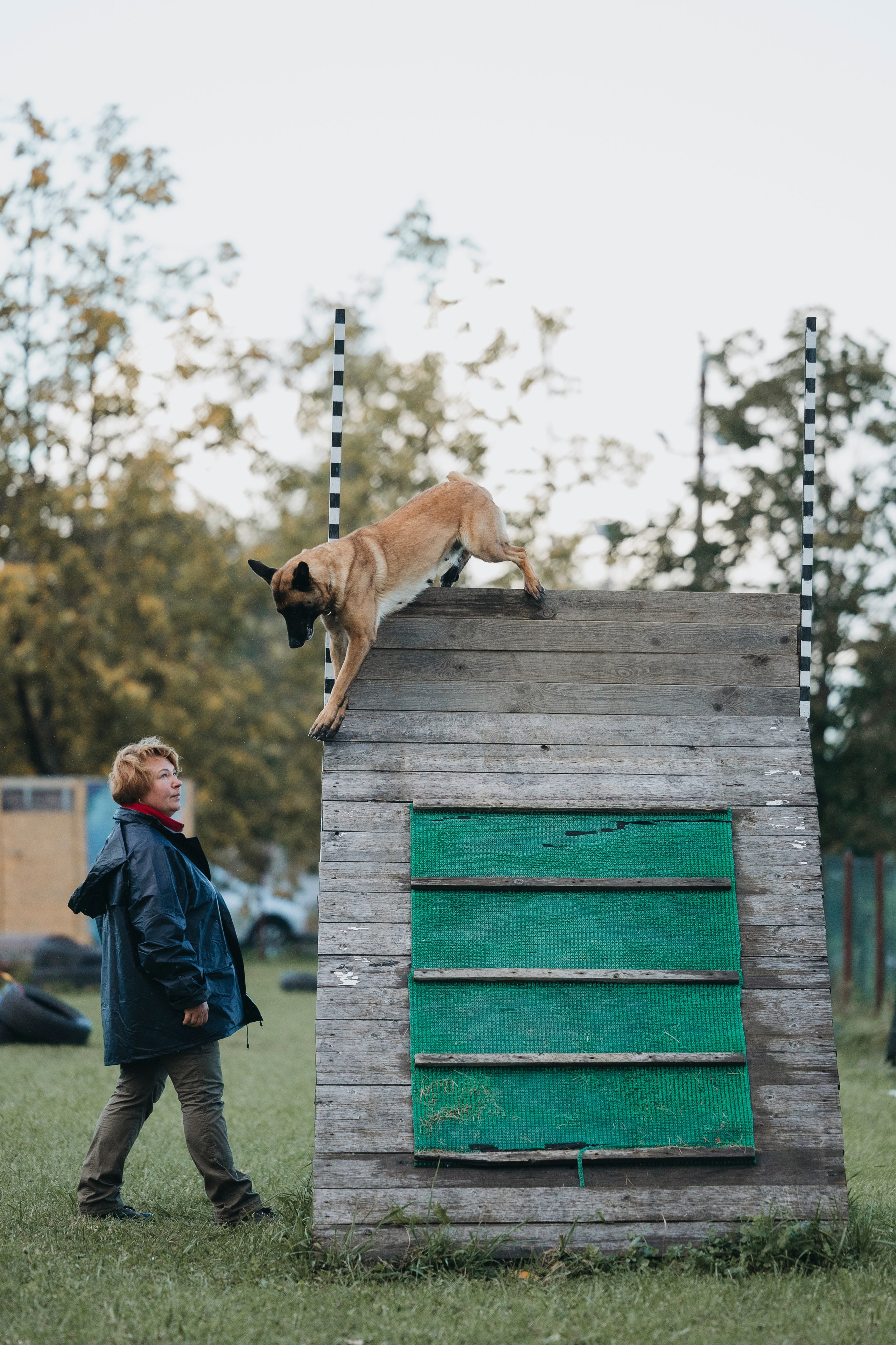 Испытания по мондьорингу г. Пушкин 29.09.2024. Фотограф-анималист Анна Маринич
