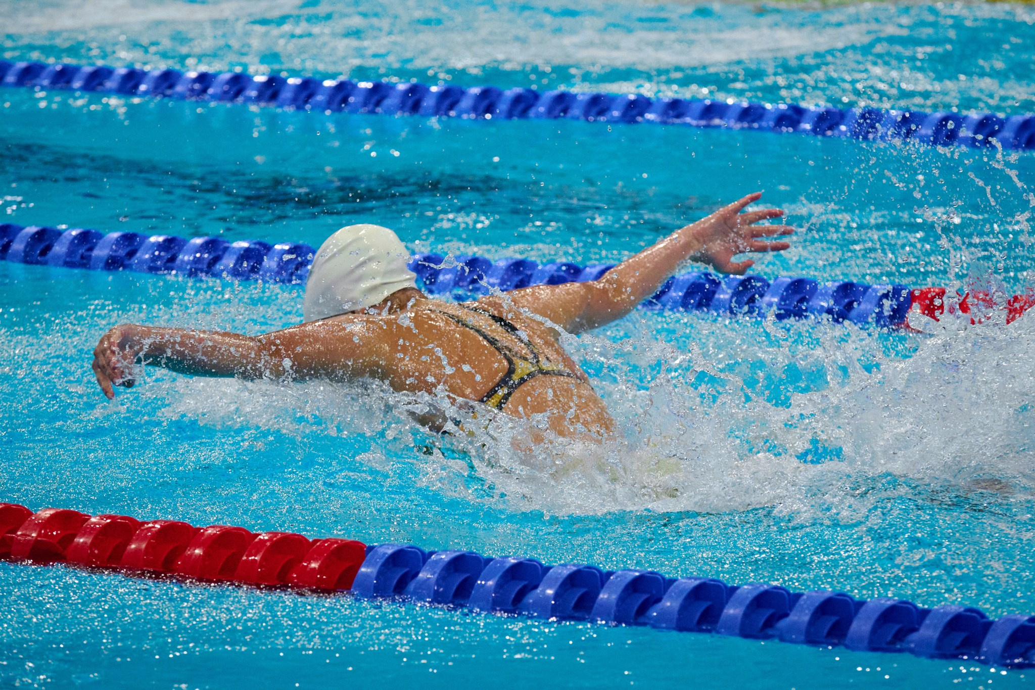 Кубок России по плаванию 2024 г. Екатеринбург. Мезенцев Евгений фотограф