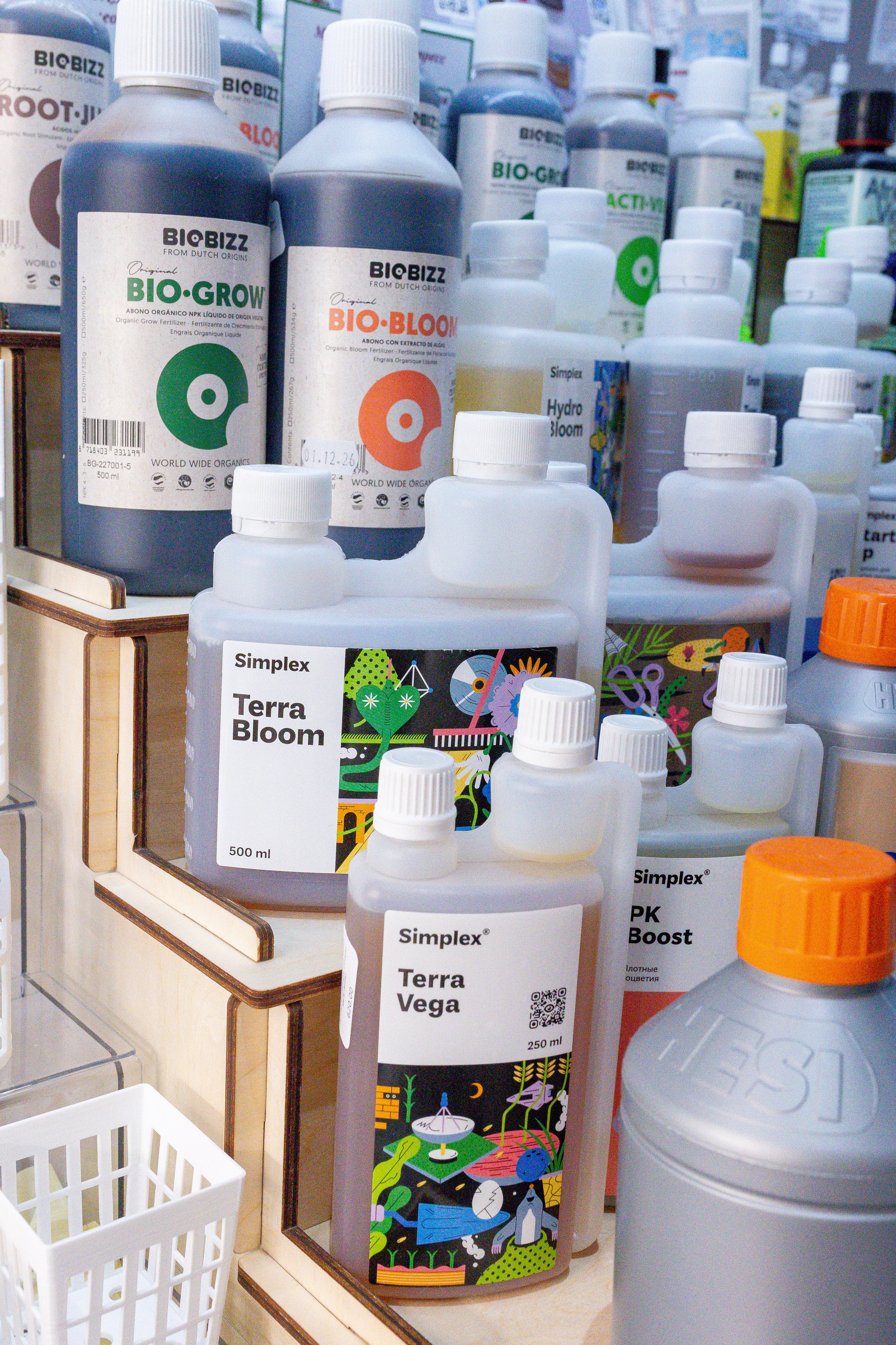 Орхидиум 12.2025. Александра Куликова фотограф, Москва