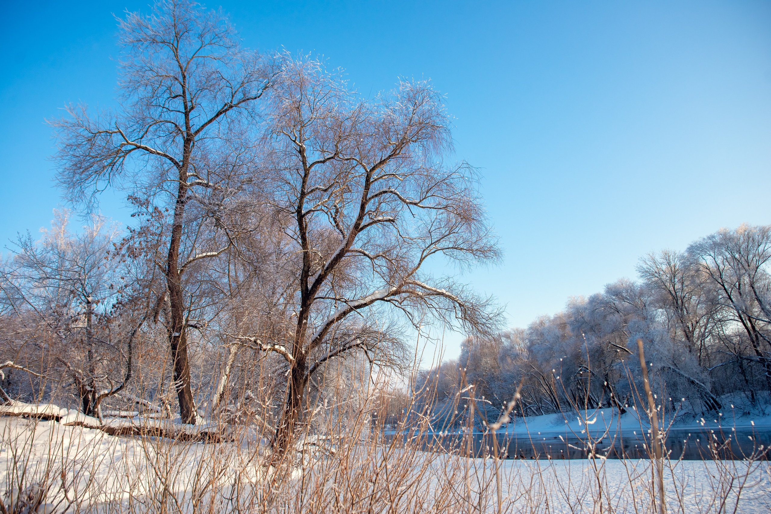 Зимушка зима. Фотограф Крещение Венчание Москва