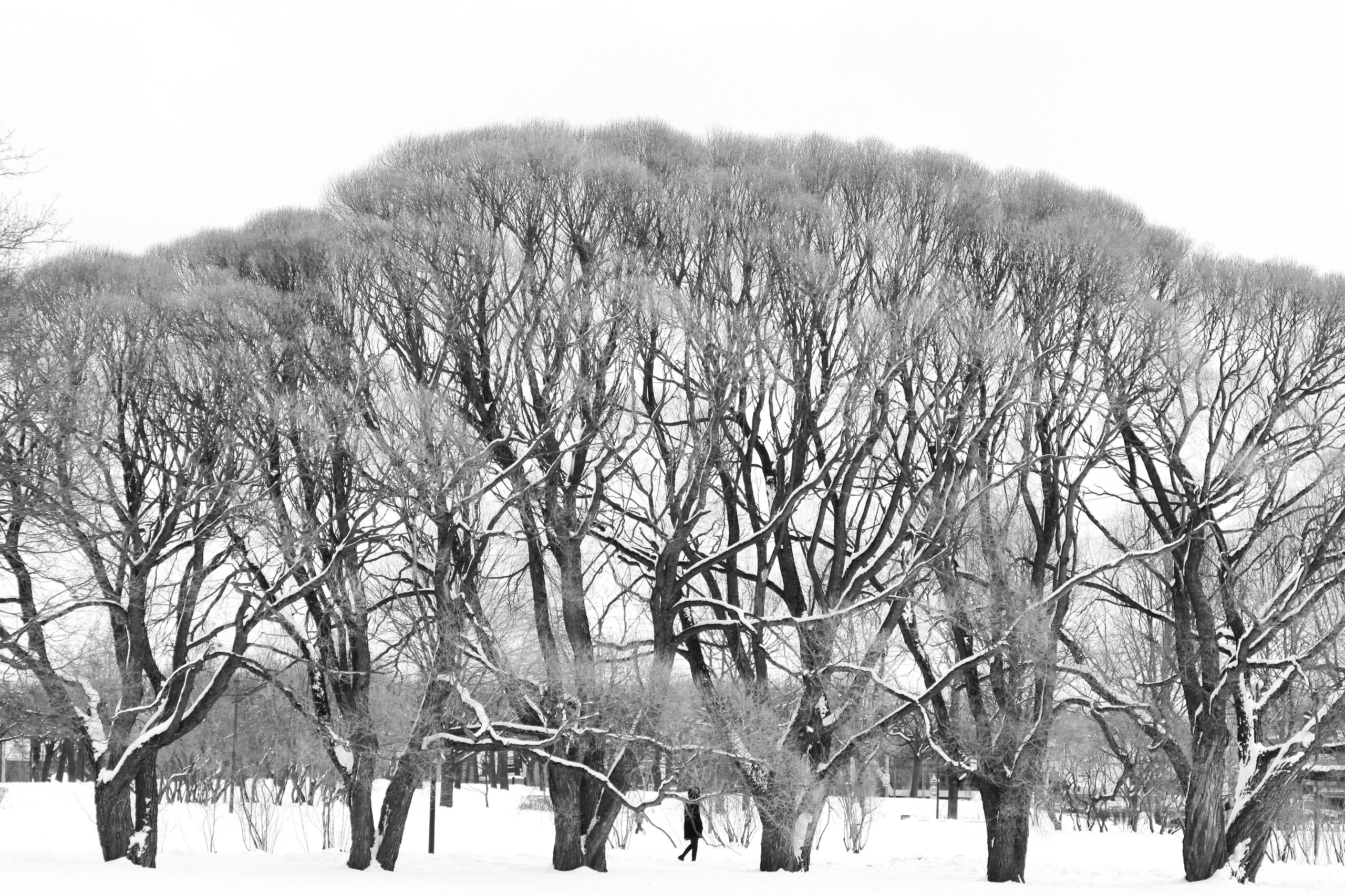 На улице. Главная