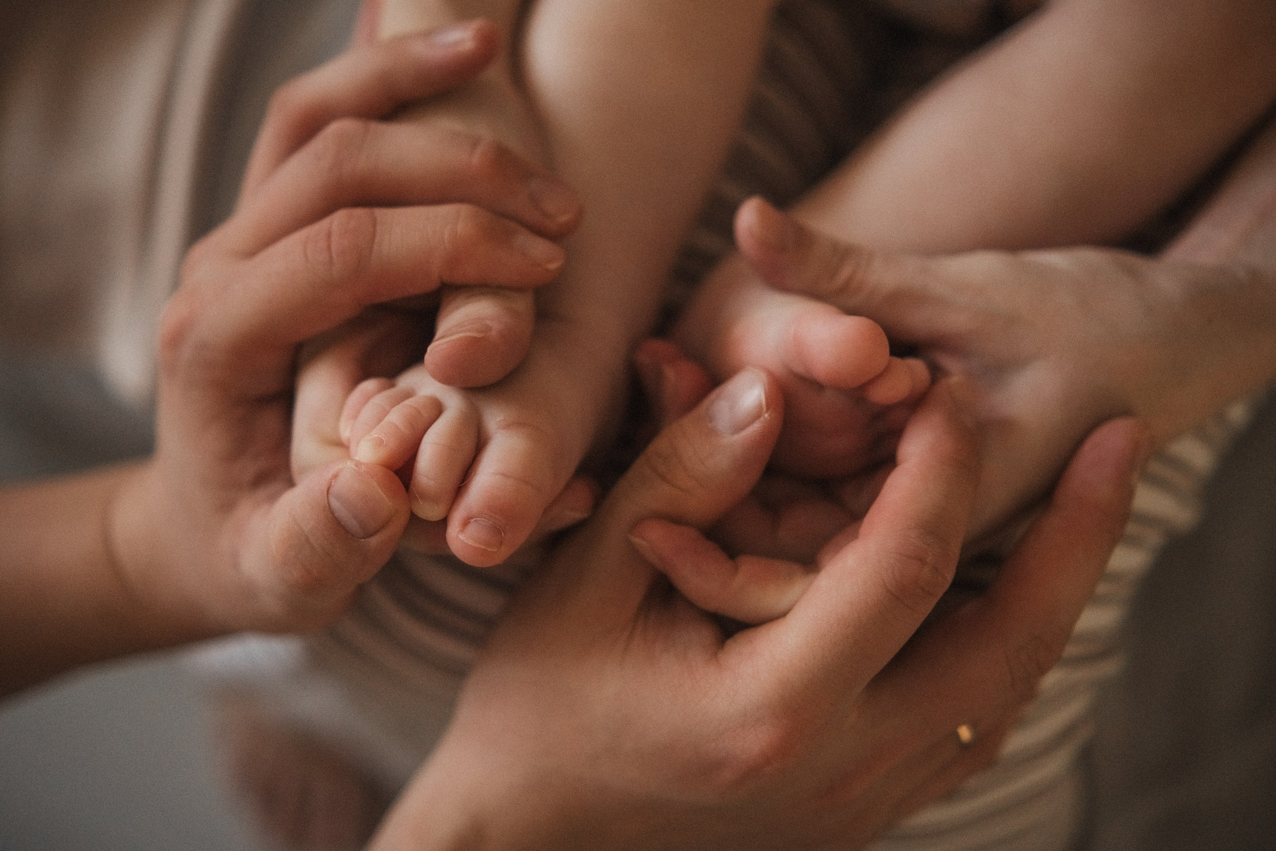 Семейная домашняя серия